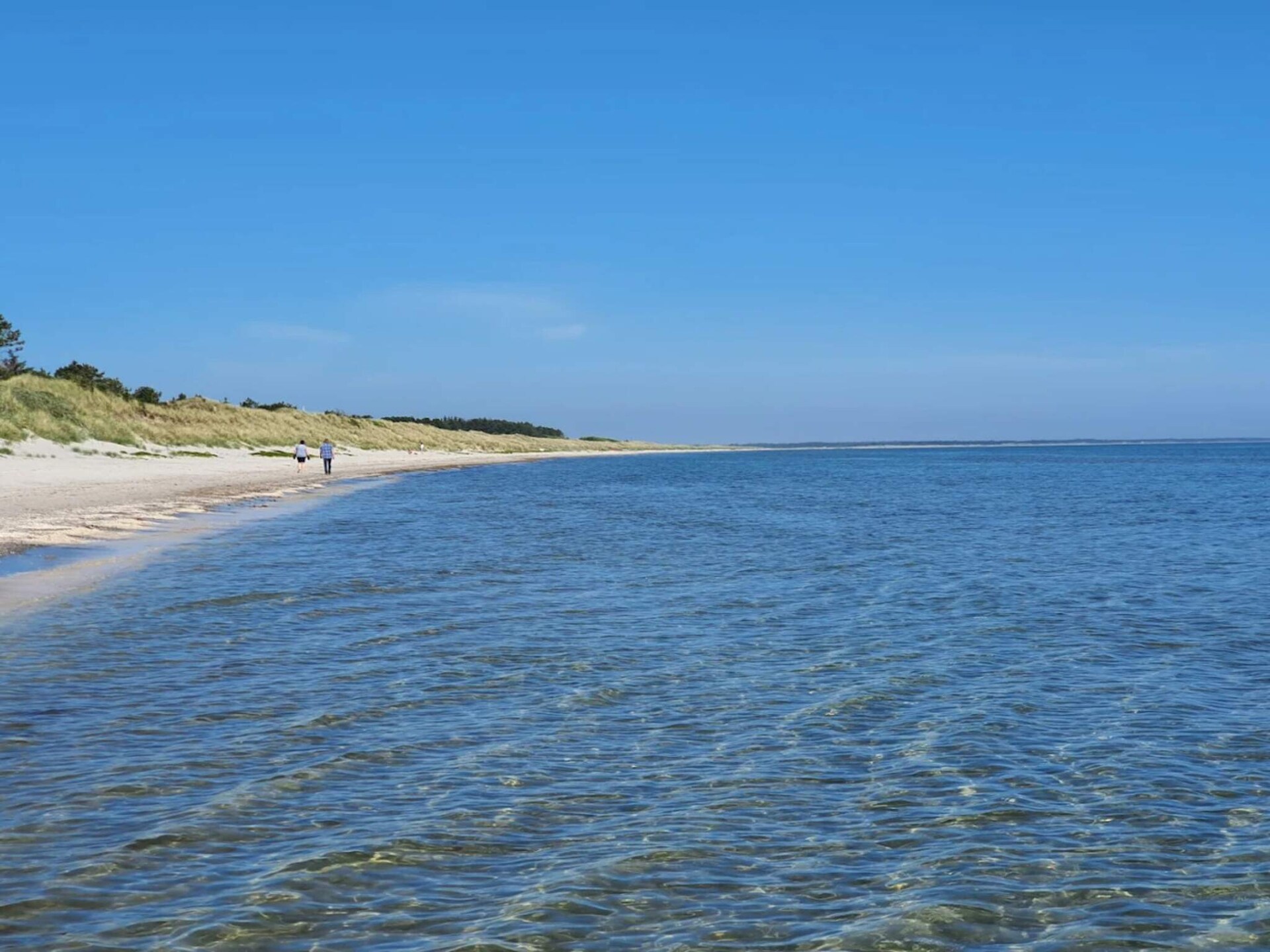 Luxe vakantiehuis voor 22 personen met zwembad, sauna en golf bij Jerup - foto 21