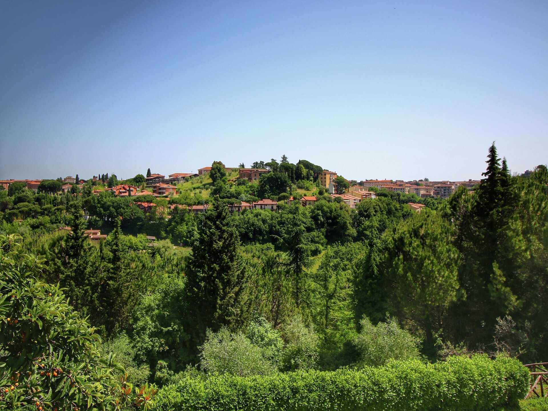 Bramante - foto 22