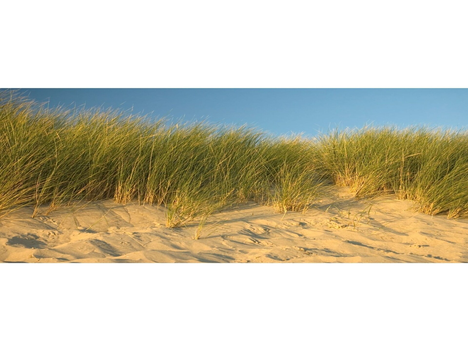 Wellness appartement aan meer in Colijnsplaat, Zeeland - foto 37