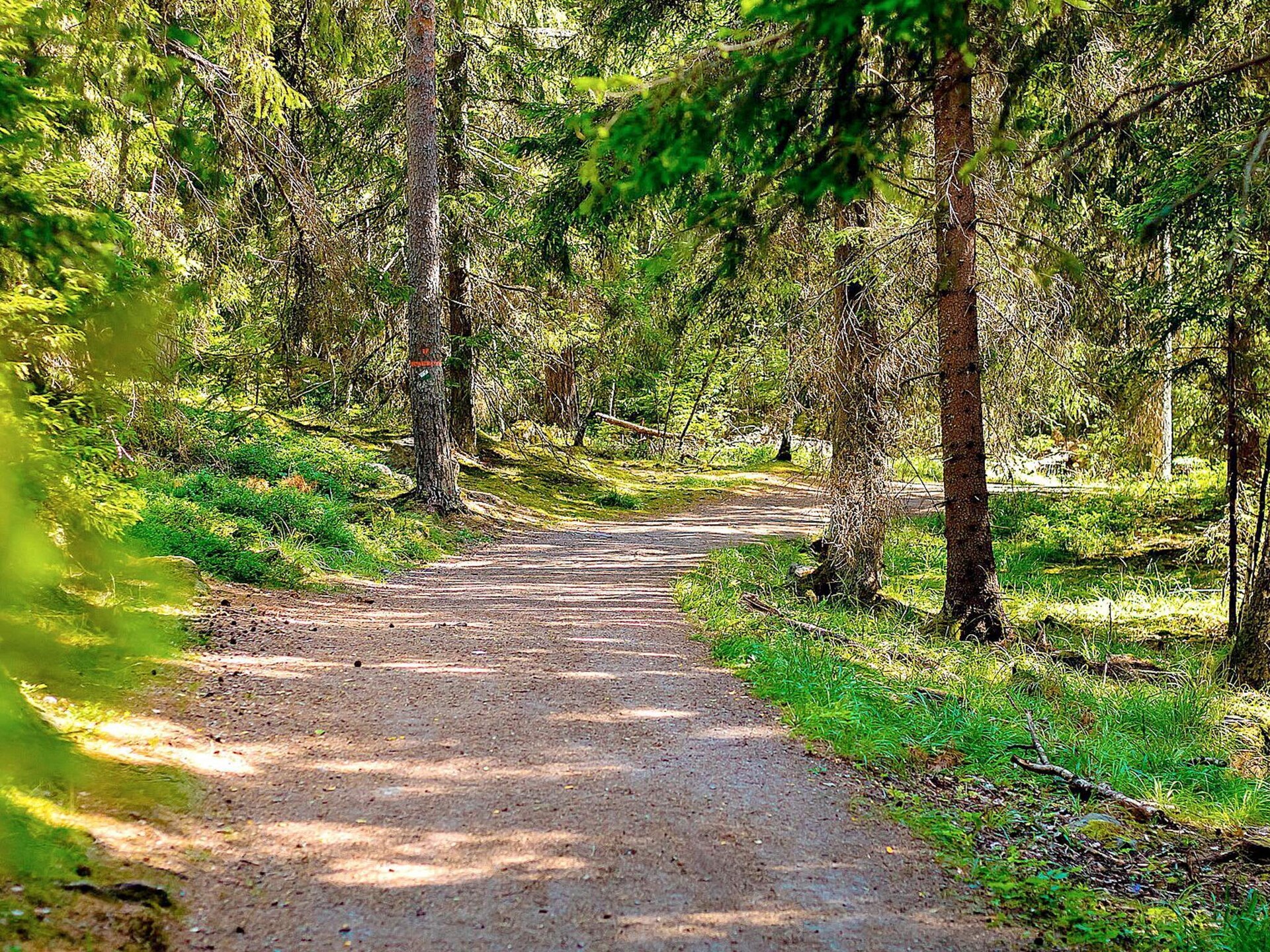Gezellig vakantiehuis voor 5 personen in het natuurrijke Sälen - foto 14