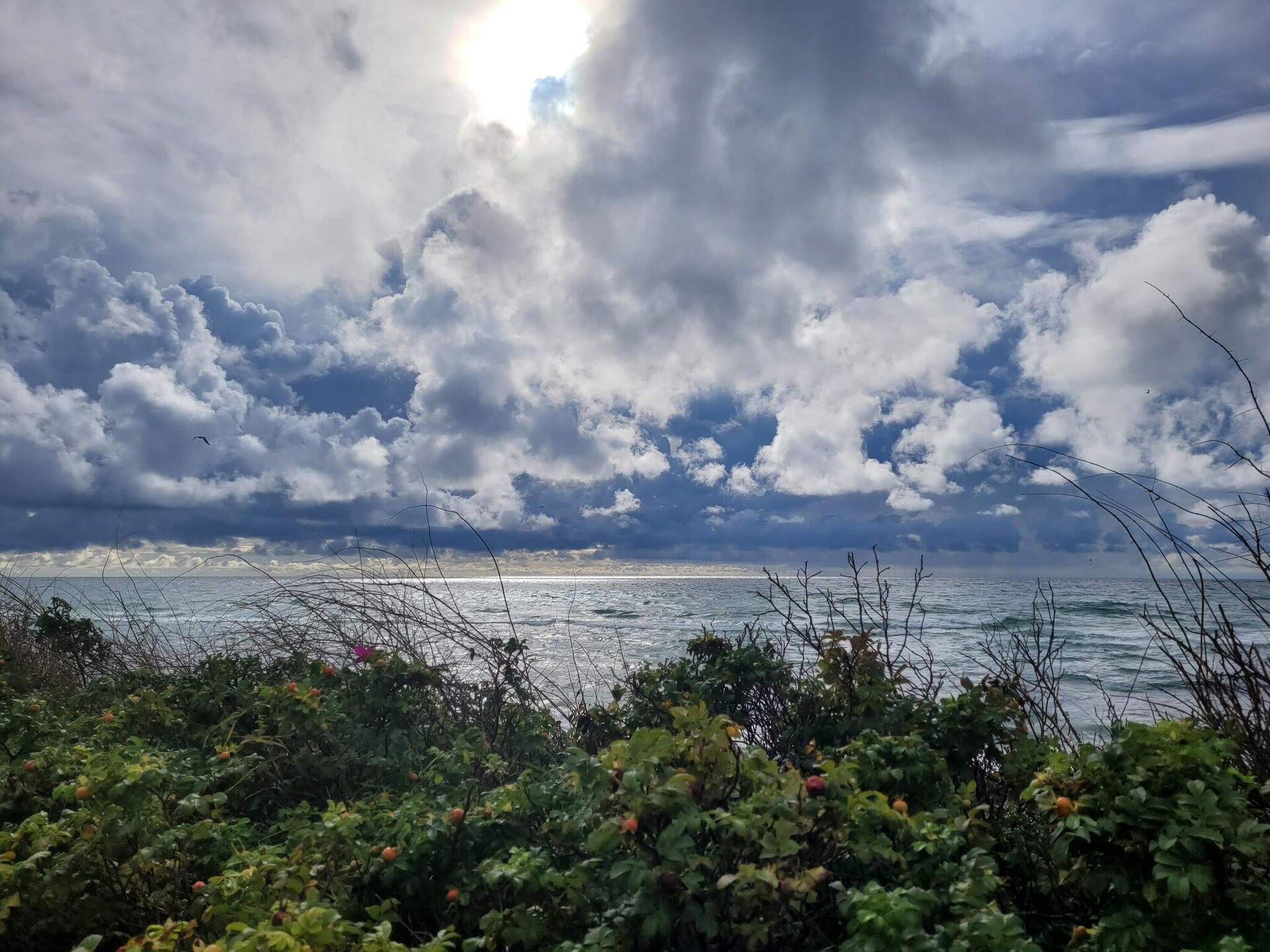 Aan zee: Rustgevend vakantiehuis in Glesborg voor 4 personen - foto 21