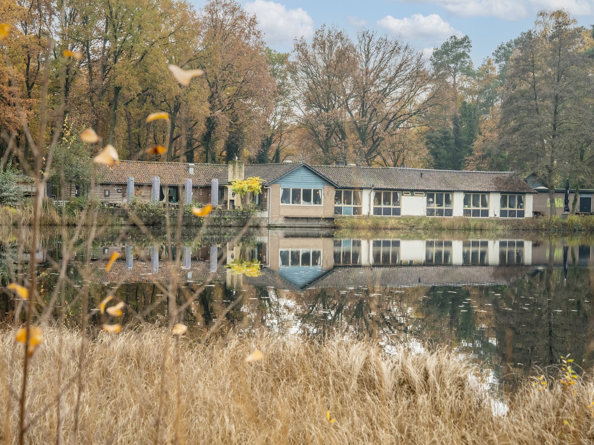 Vosseven 73 Maretak: Modern vakantiehuis in bosrijk Limburg voor 6 personen - foto 29