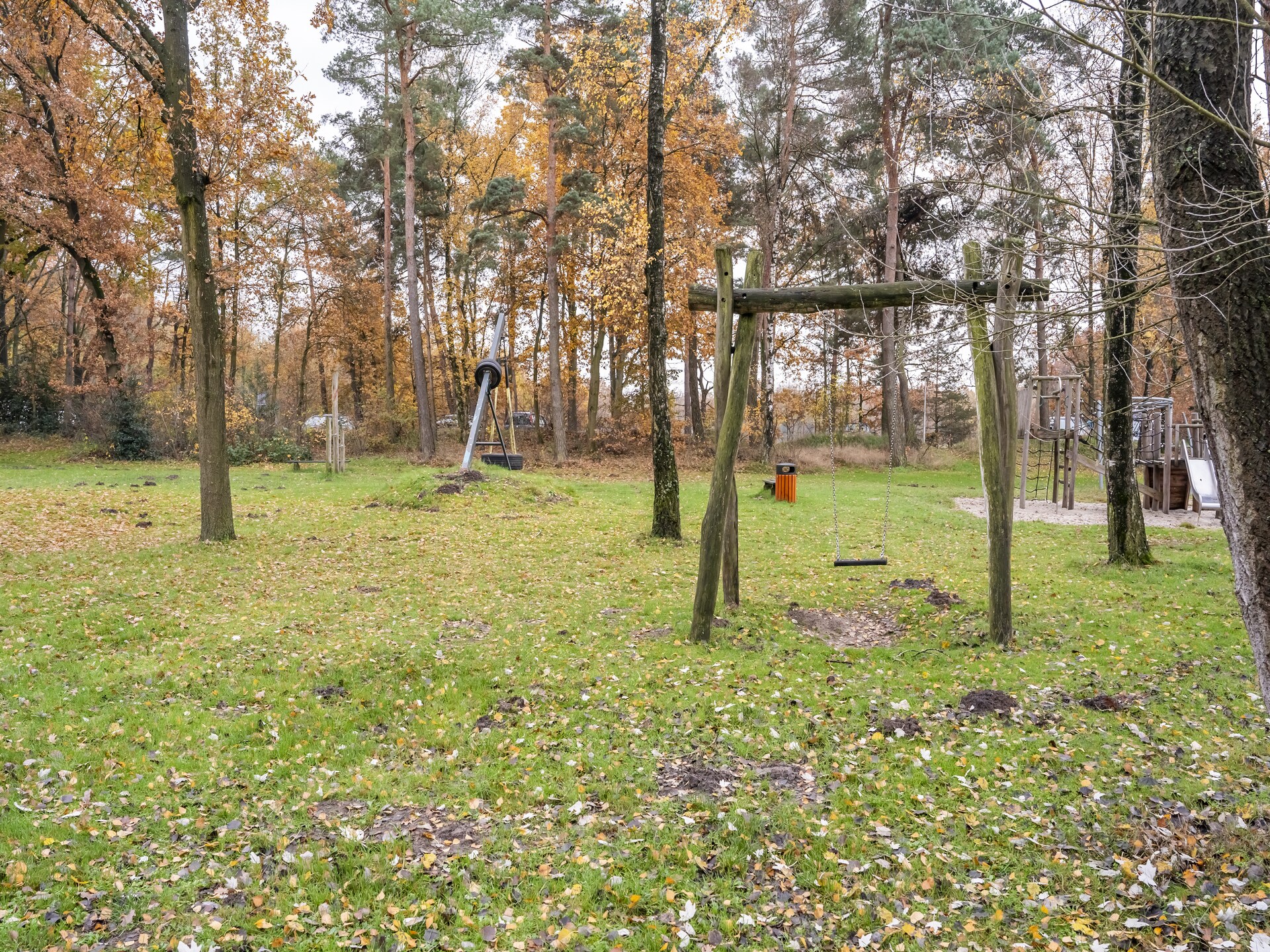 Vosseven 73 Maretak: Modern vakantiehuis in bosrijk Limburg voor 6 personen - foto 30