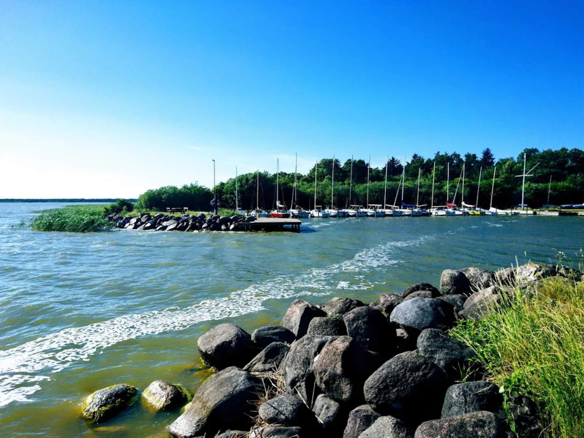 Vrijstaand vakantiehuis bij Liseleje – 4 personen, dichtbij meer en zee - foto 11