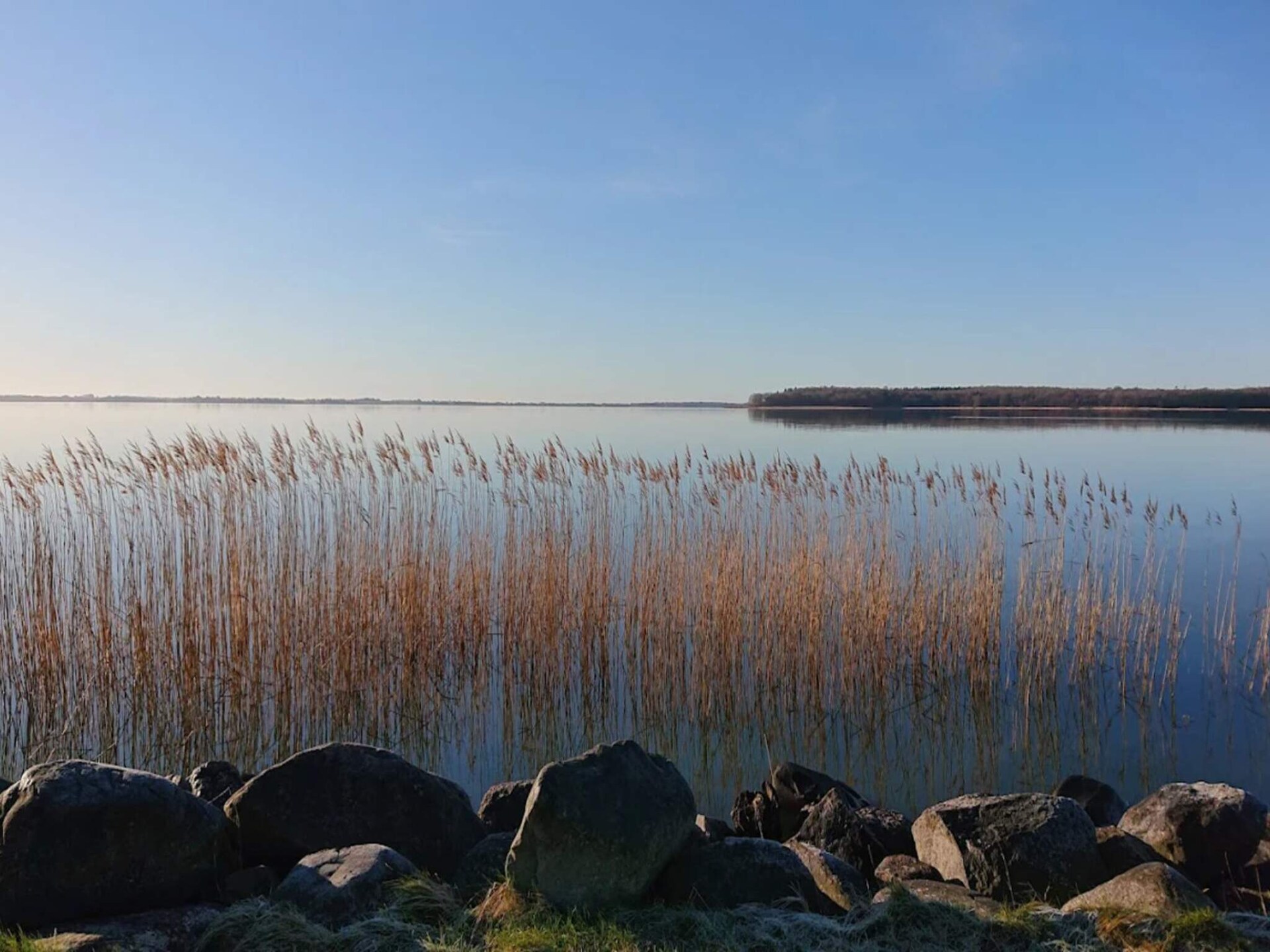 Vrijstaand vakantiehuis bij Liseleje – 4 personen, dichtbij meer en zee - foto 12
