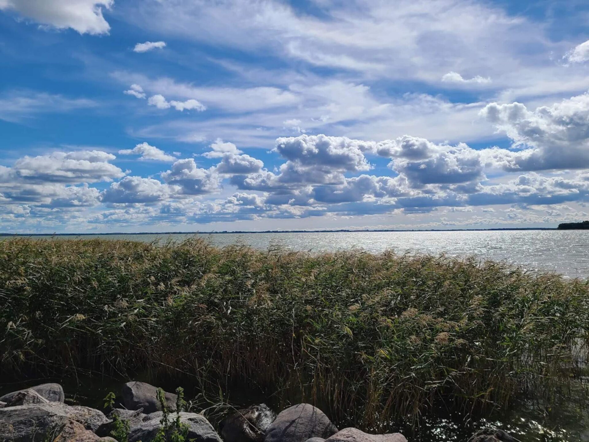 Vrijstaand vakantiehuis bij Liseleje – 4 personen, dichtbij meer en zee - foto 13