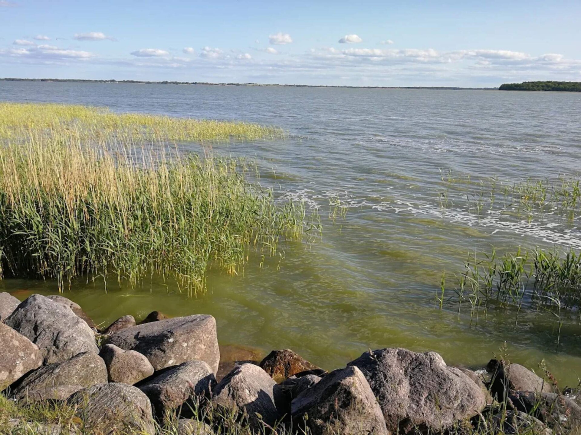 Vrijstaand vakantiehuis bij Liseleje – 4 personen, dichtbij meer en zee - foto 14