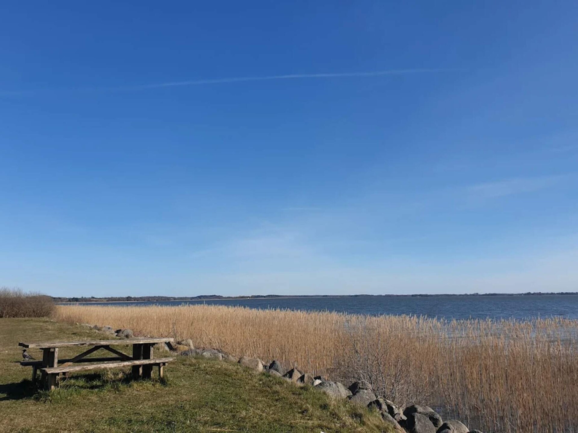 Vrijstaand vakantiehuis bij Liseleje – 4 personen, dichtbij meer en zee - foto 16