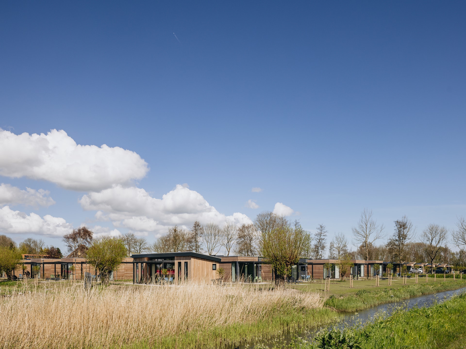 Eco-Chic Lodge aan het Markermeer: luxe, rust en honden welkom - foto 19