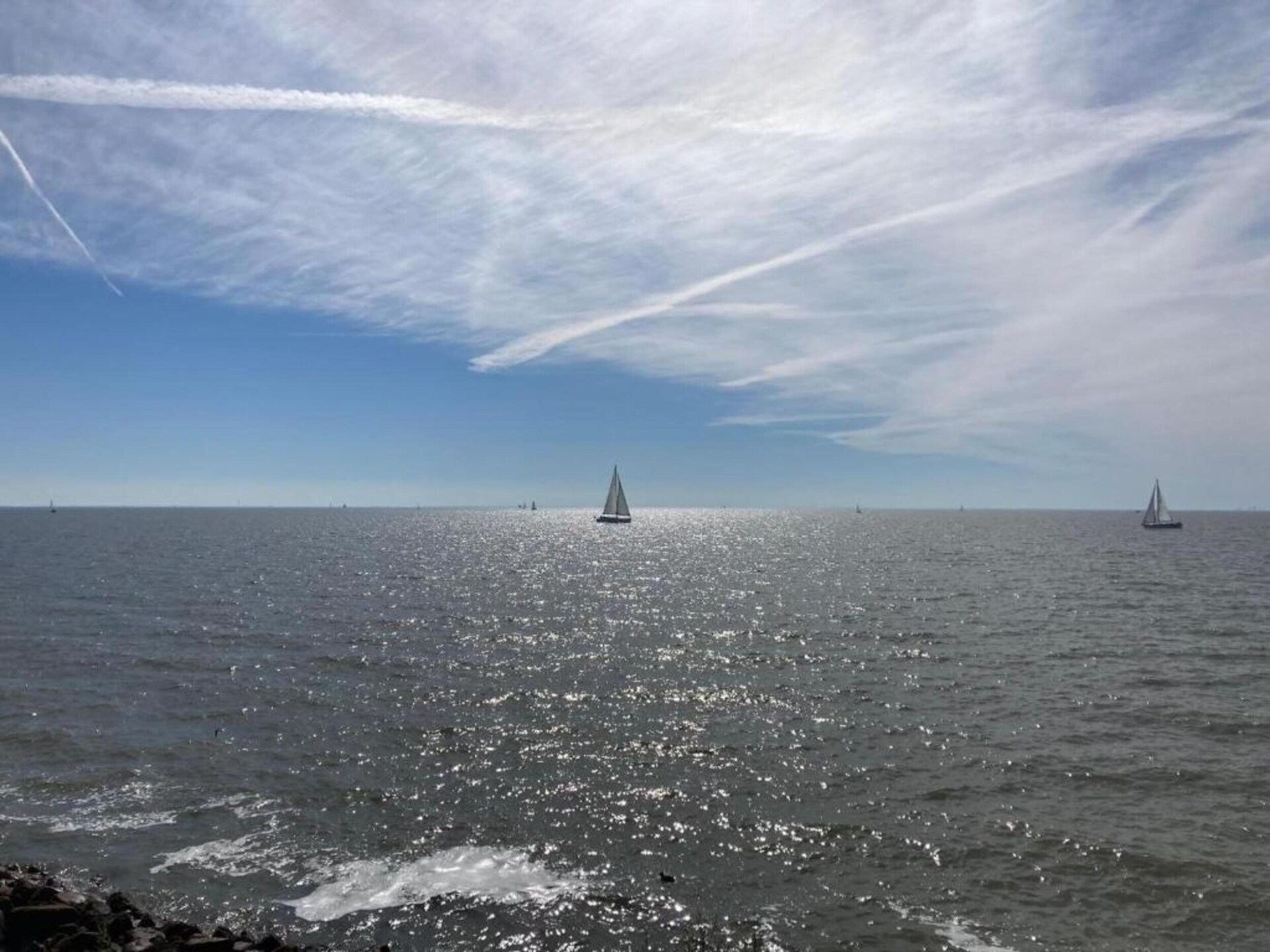 Eco-Chic Lodge aan het Markermeer: luxe, rust en honden welkom - foto 28