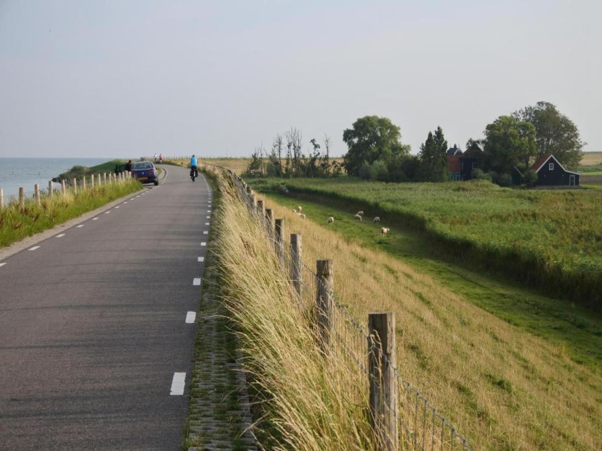Eco-Chic Lodge aan het Markermeer: luxe, rust en honden welkom - foto 24