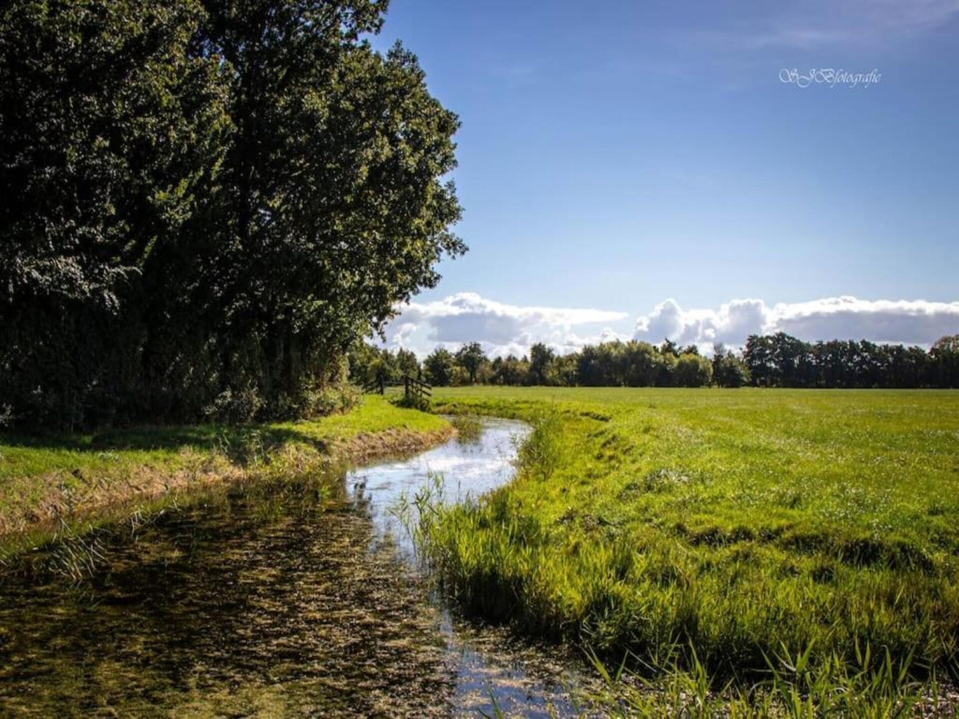 Eco-Chic Lodge aan het Markermeer: luxe, rust en honden welkom - foto 36