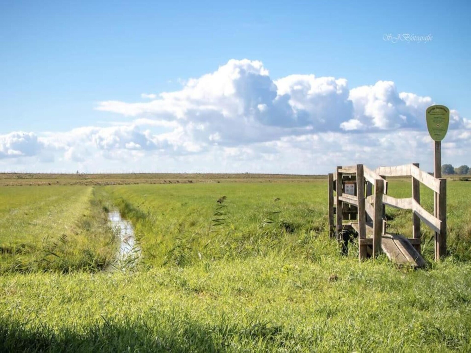 Eco-Chic Lodge aan het Markermeer: luxe, rust en honden welkom - foto 37