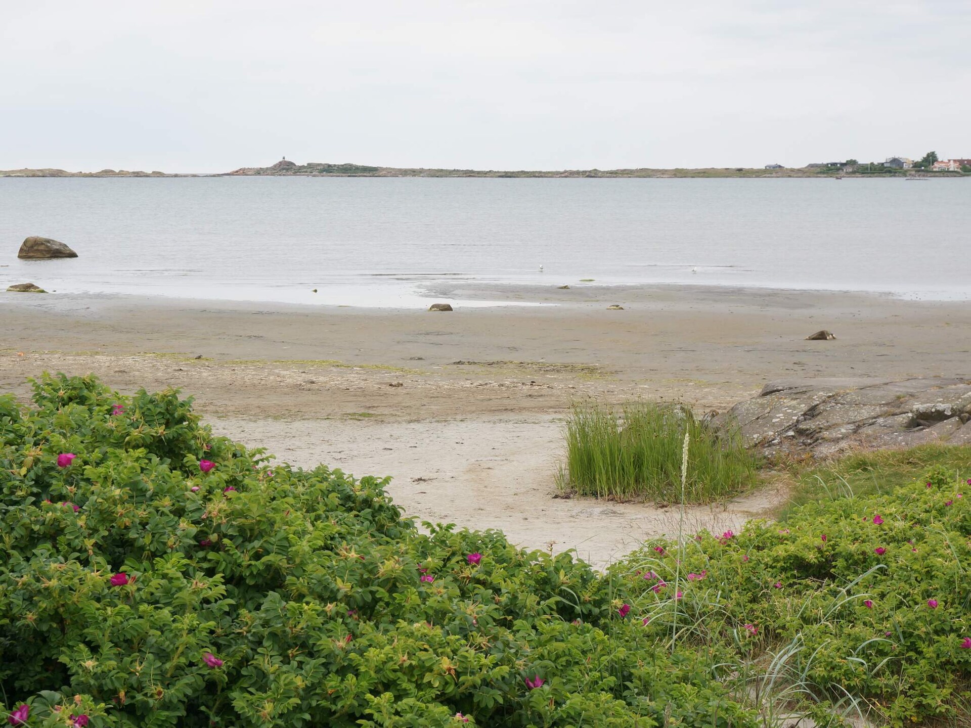 Vrijstaand vakantiehuis bij zee en golfbaan in Träslövsläge - foto 9