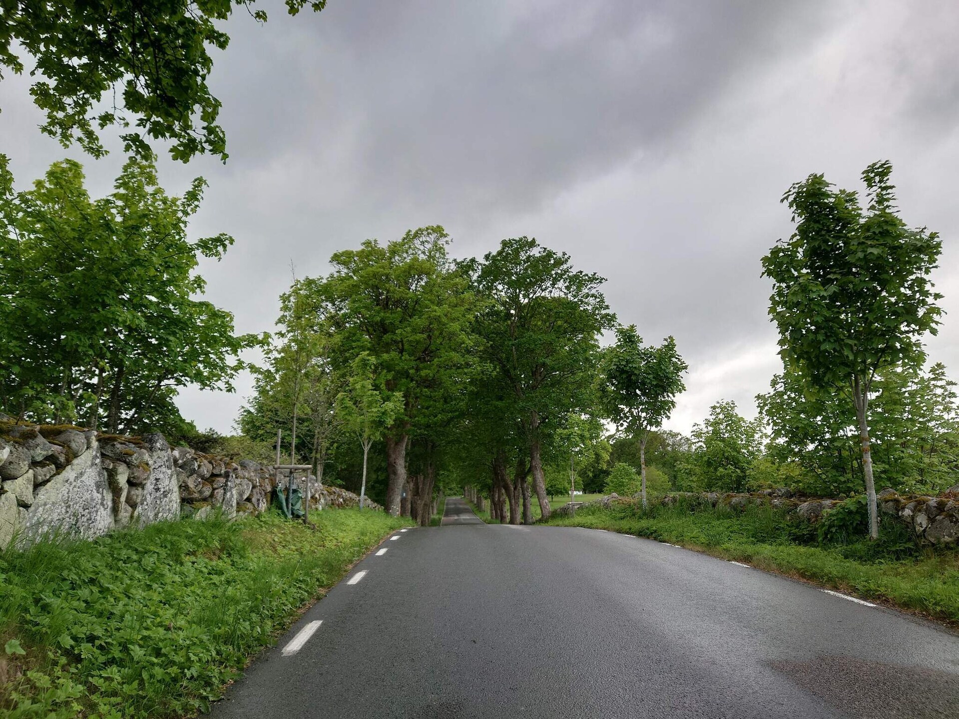Knus vakantiehuis aan de golfbaan bij Everöd, nabij meren en zee - foto 17