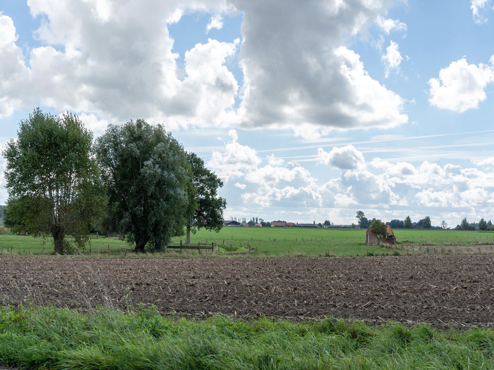 5-persoons landhuis met weilandzicht in Roesbrugge - foto 39