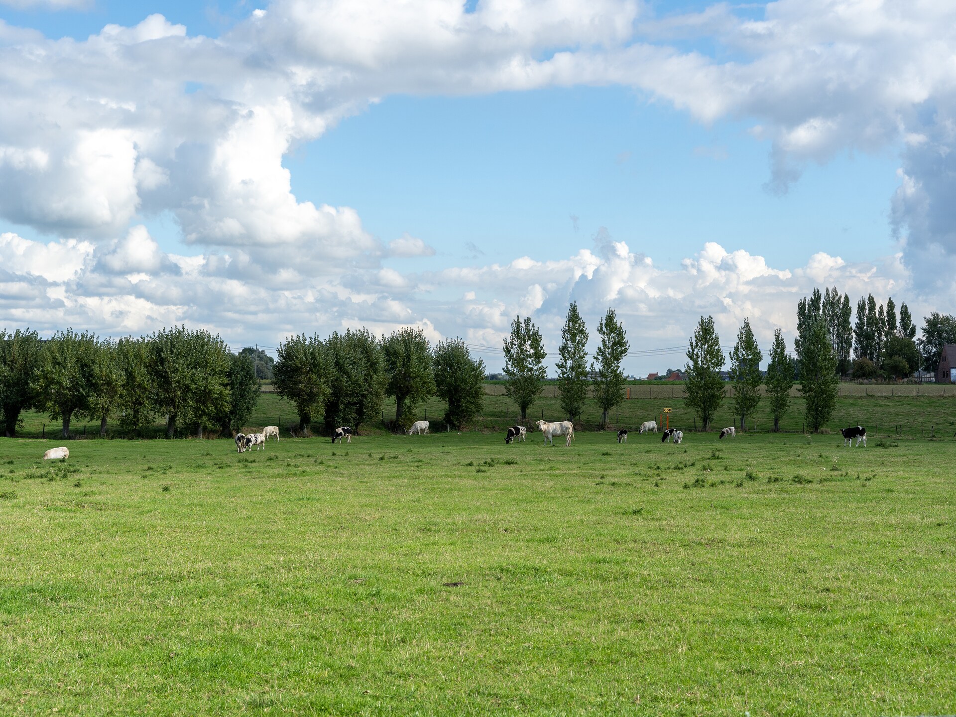 5-persoons landhuis met weilandzicht in Roesbrugge - foto 35