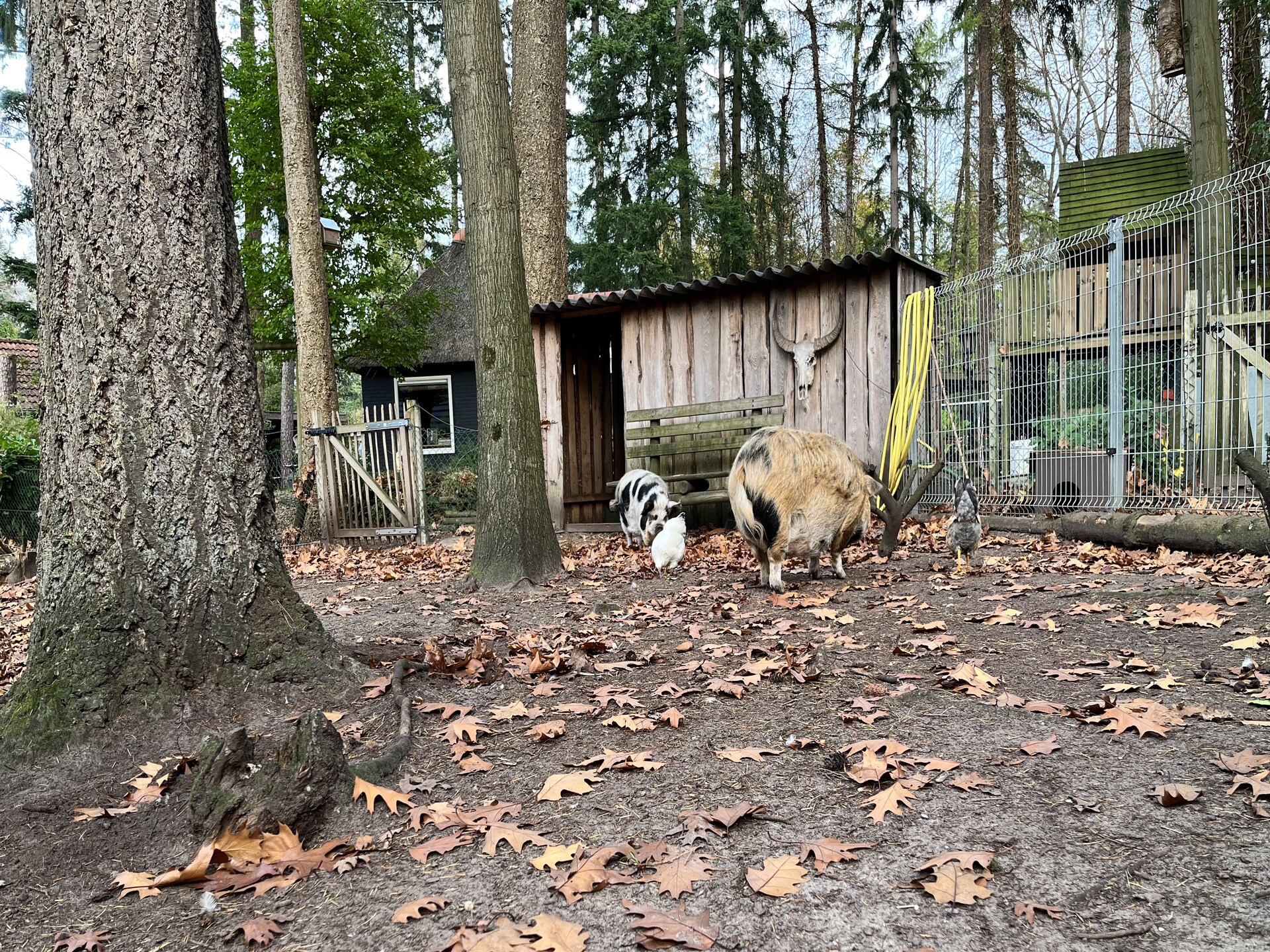 Energievriendelijk 't Brummelhuus: genieten van rust en natuur in de Achterhoek - foto 32