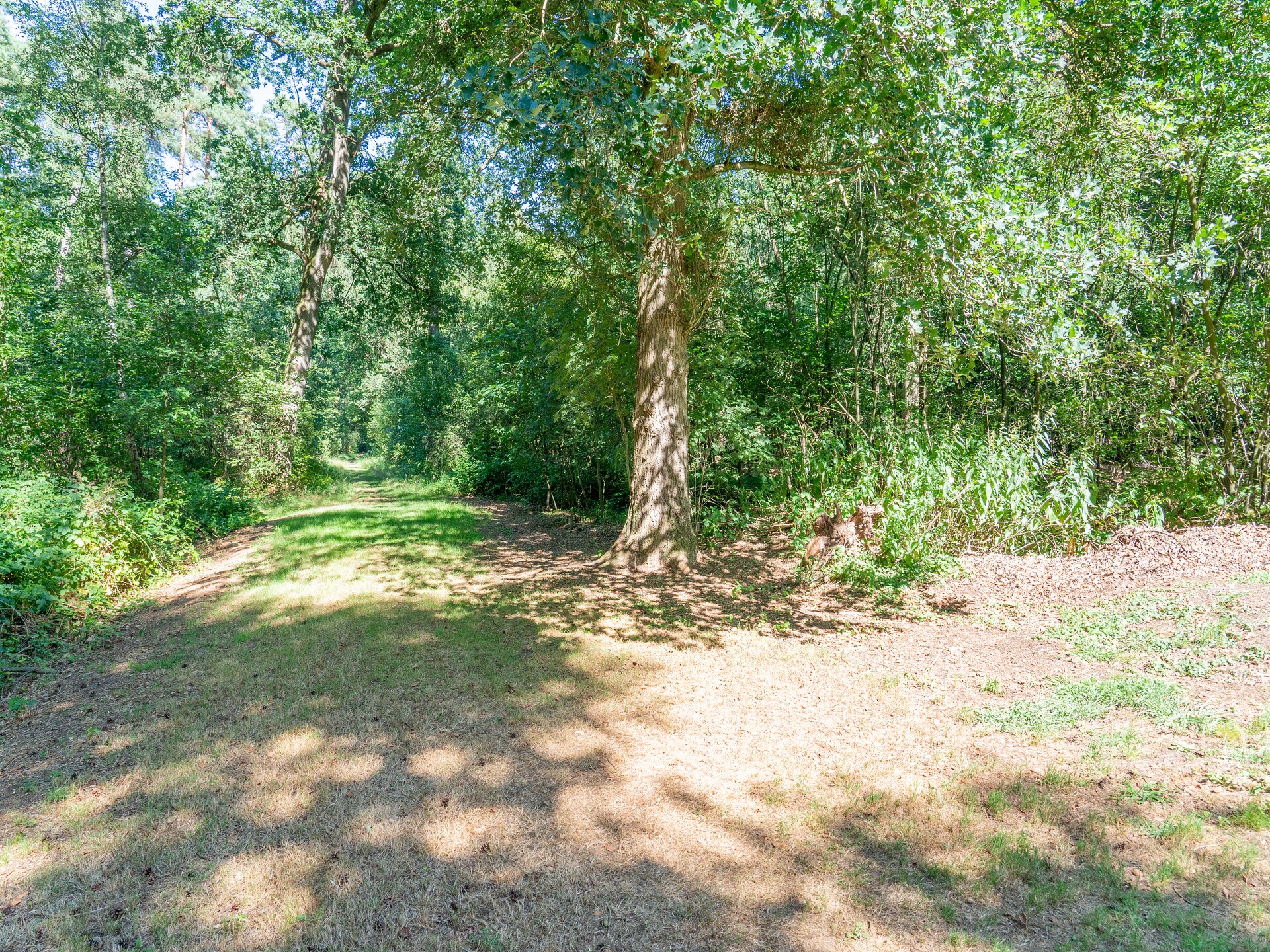 Boschhuis Boucle: vrijstaand vakantiehuis met uitzicht op water in Lochem - foto 32