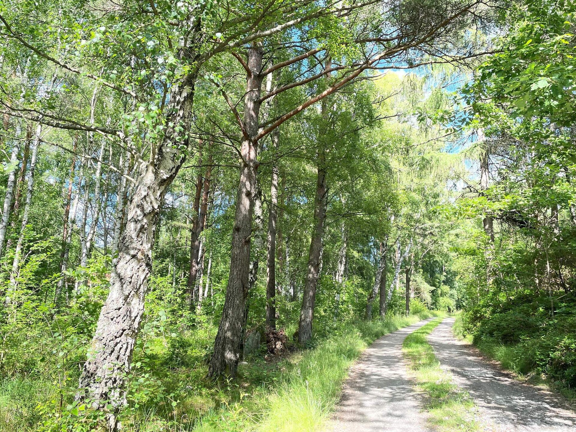 Ruim vakantiehuis in Klövedal nabij natuurgebied Pilane - foto 13