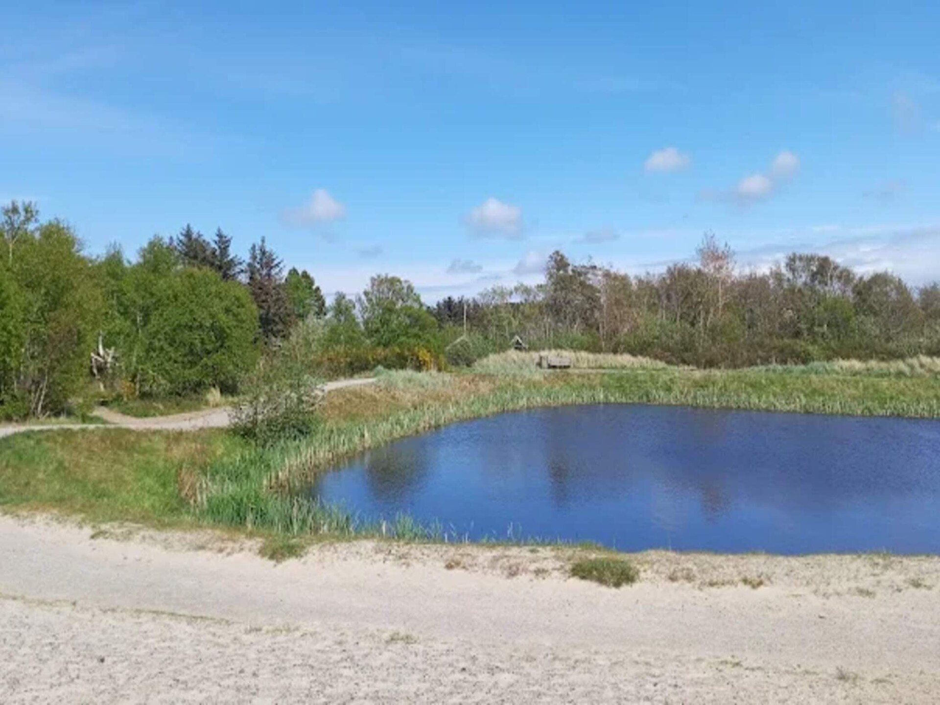 Vrijstaand vakantiehuis in Skagen met omheinde tuin, vlakbij strand en centrum - foto 15