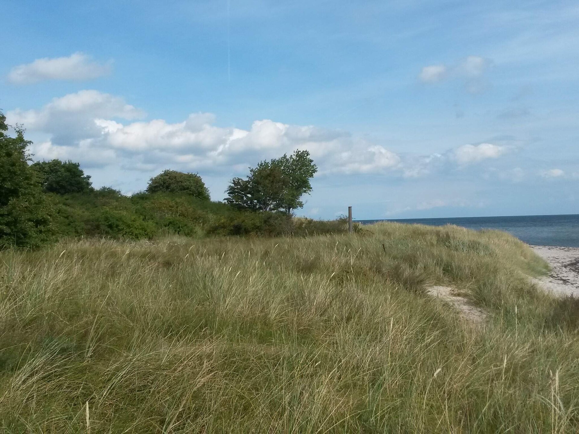 Aan zee: Charmant vakantiehuis in Idestrup voor 4 personen - foto 16