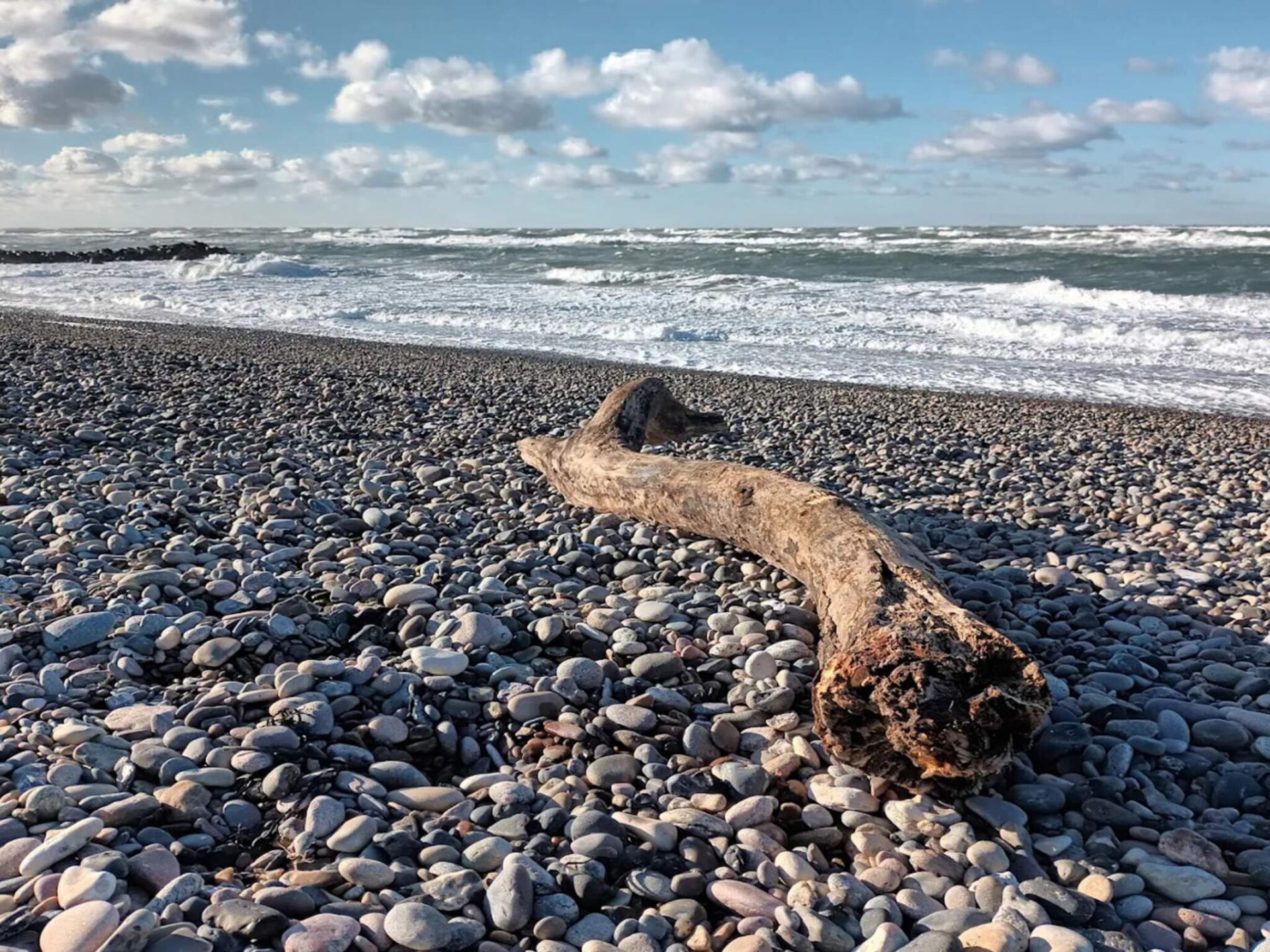 Traditioneel vakantiehuis in hartje Gl. Skagen, 700m van zee - foto 15