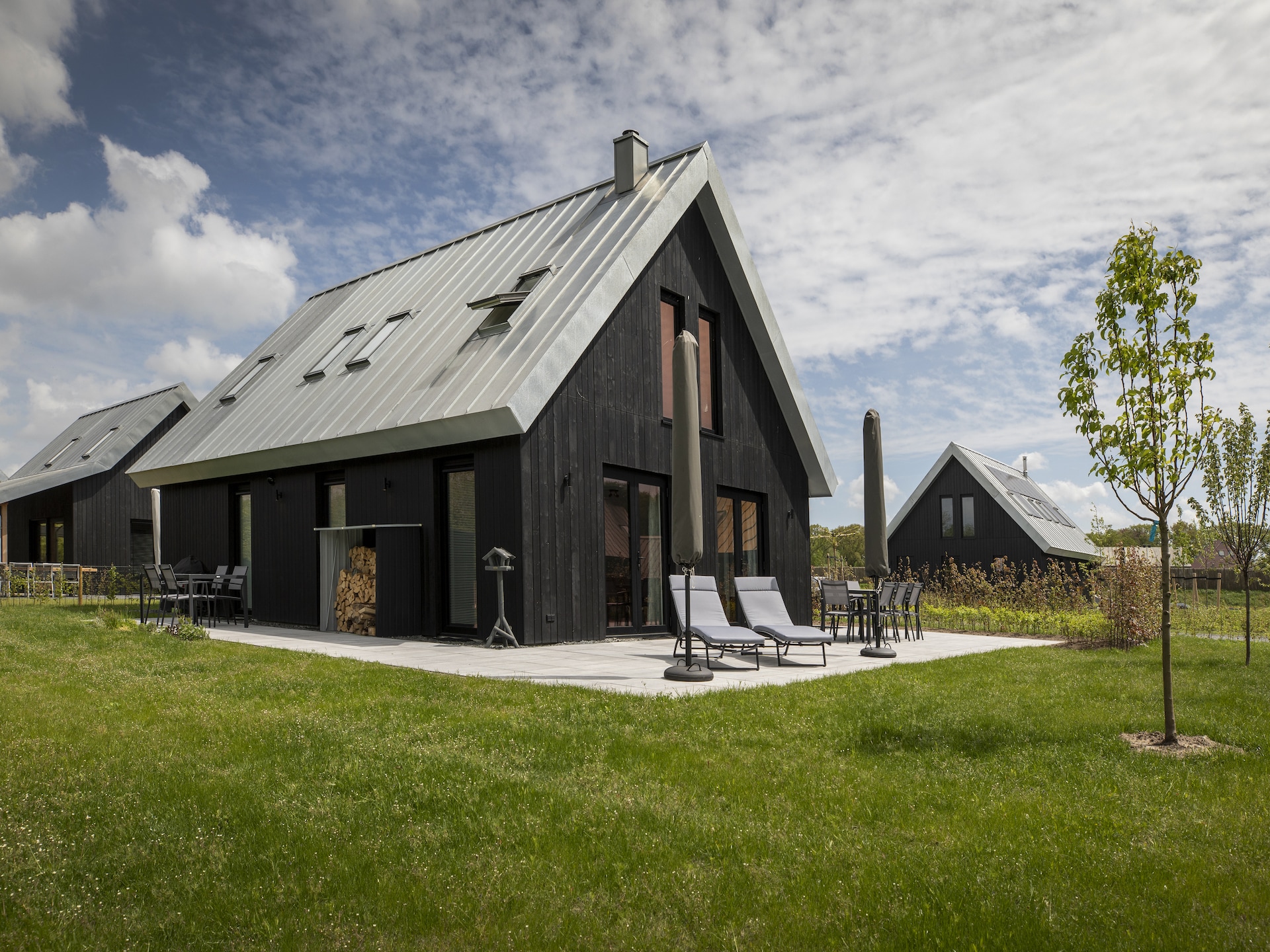 Luxe 8-persoonsvilla op Landgoed Eysinga State in hart van Friesland - foto 2