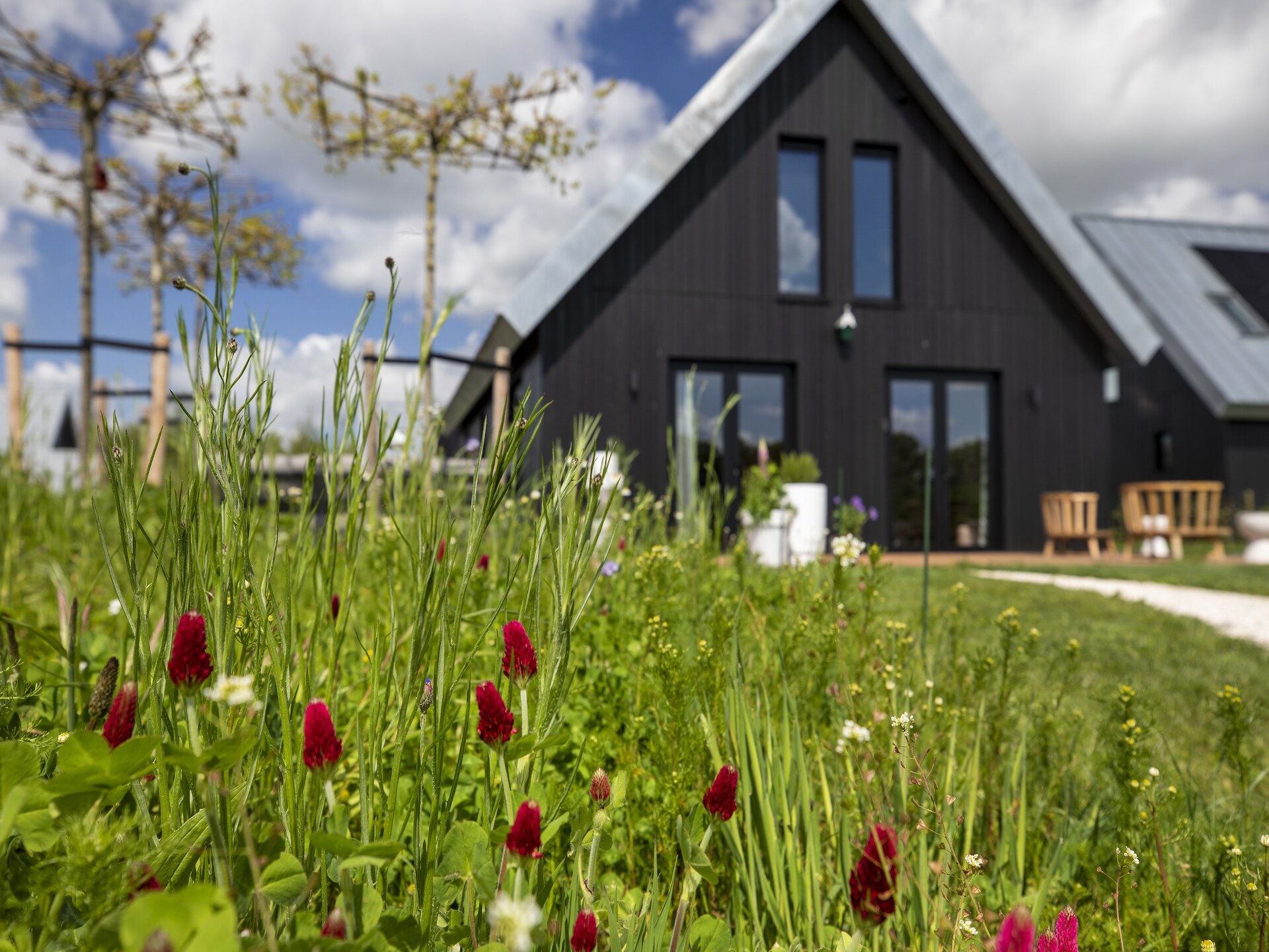 Luxe 8-persoonsvilla op Landgoed Eysinga State in hart van Friesland - foto 24