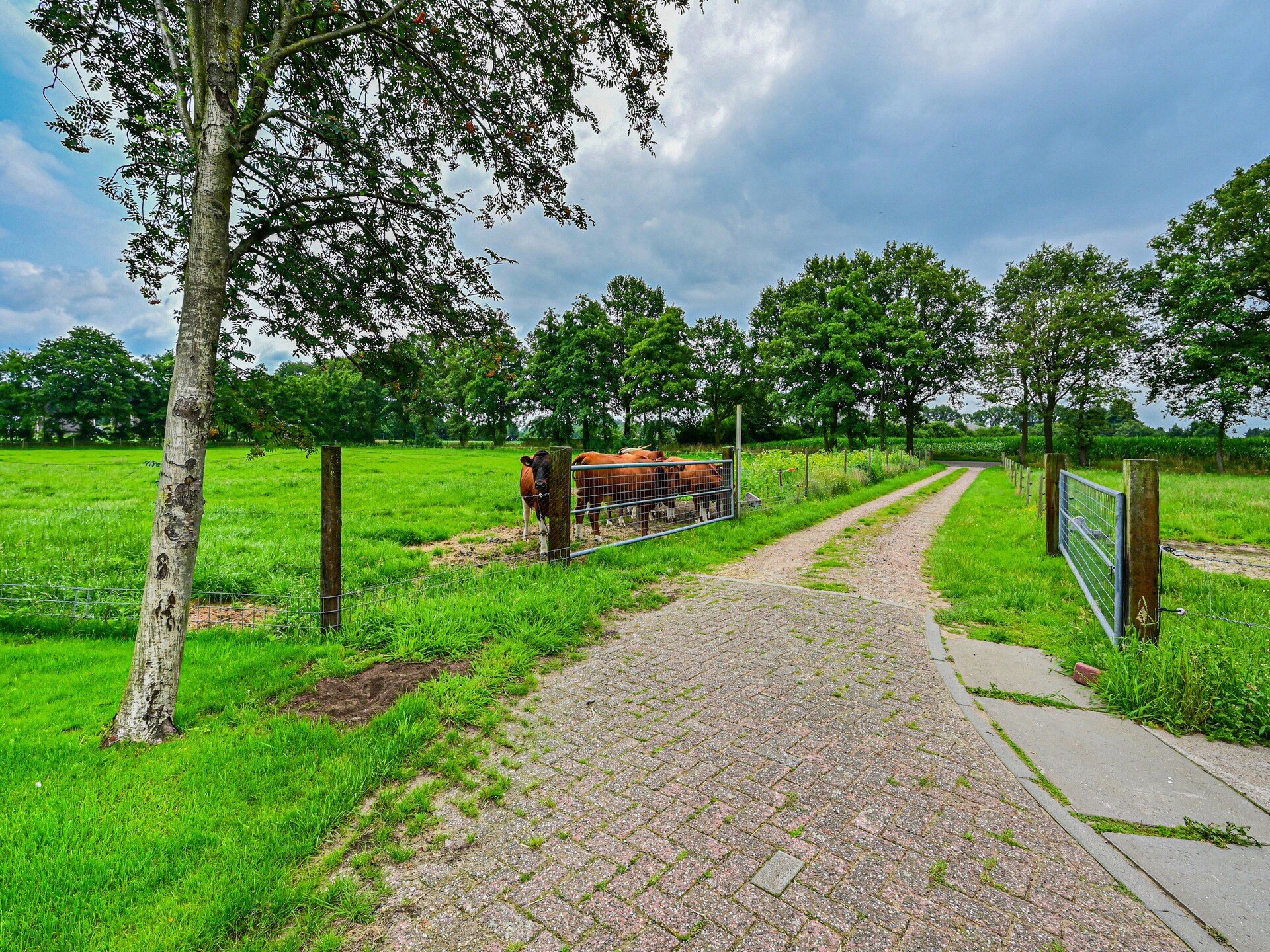 Authentieke boerderij in bosrijke Achterhoek voor 4 personen - foto 29