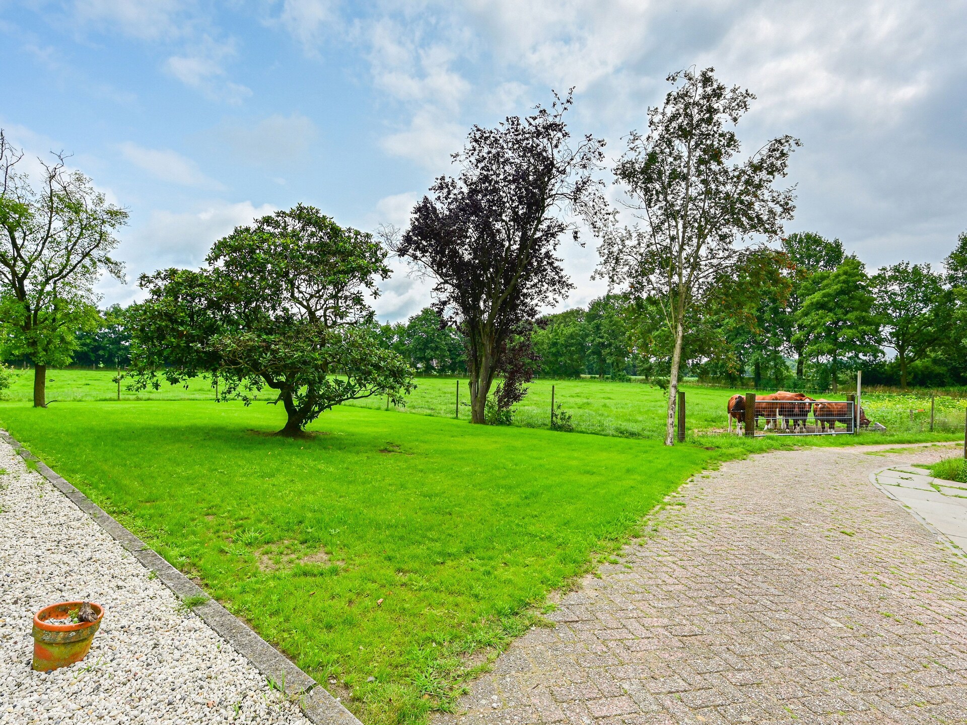 Authentieke boerderij in bosrijke Achterhoek voor 4 personen - foto 30