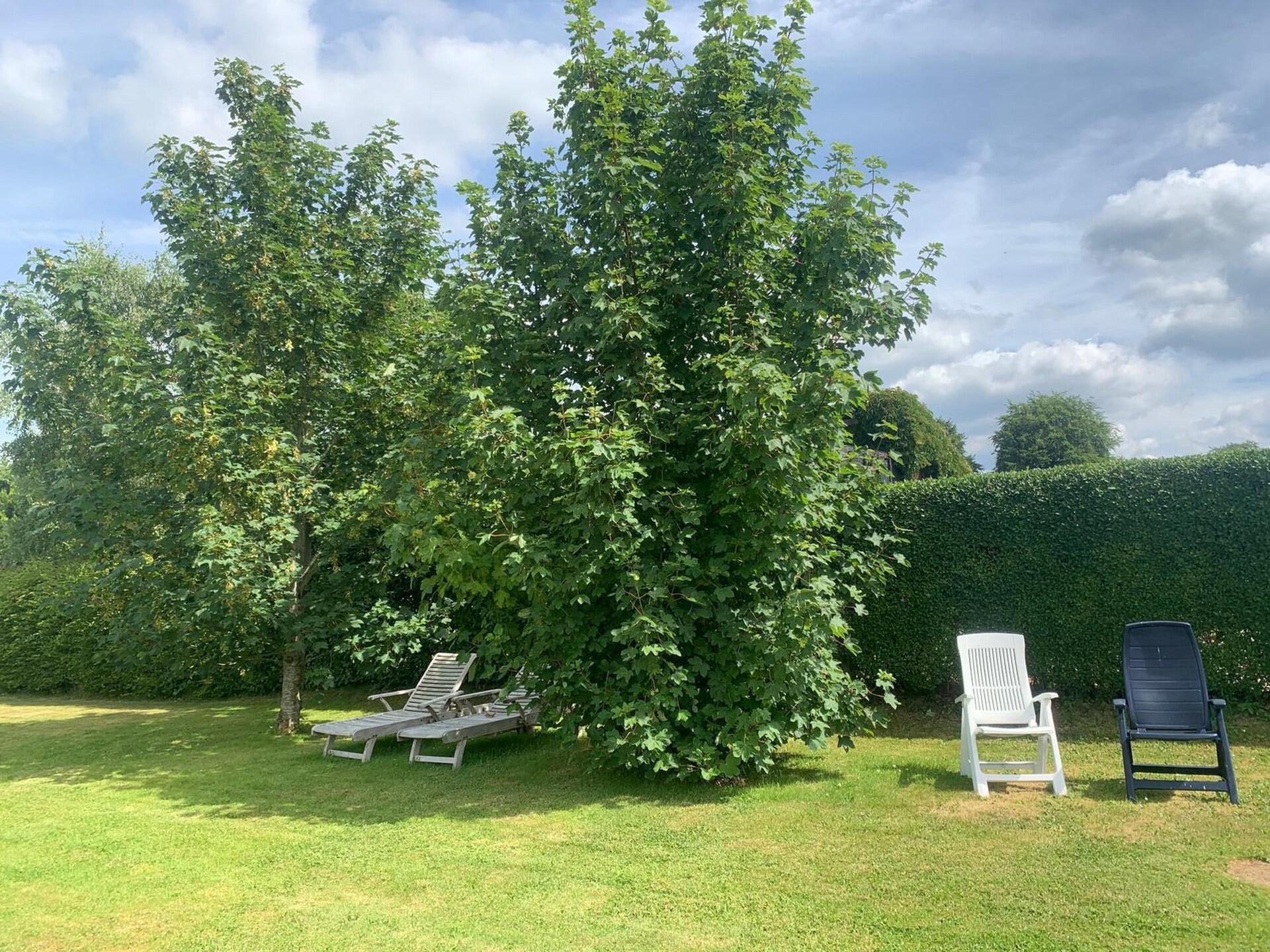 Gerenoveerd appartement met tuin en zonsondergang nabij Büllingen - foto 18