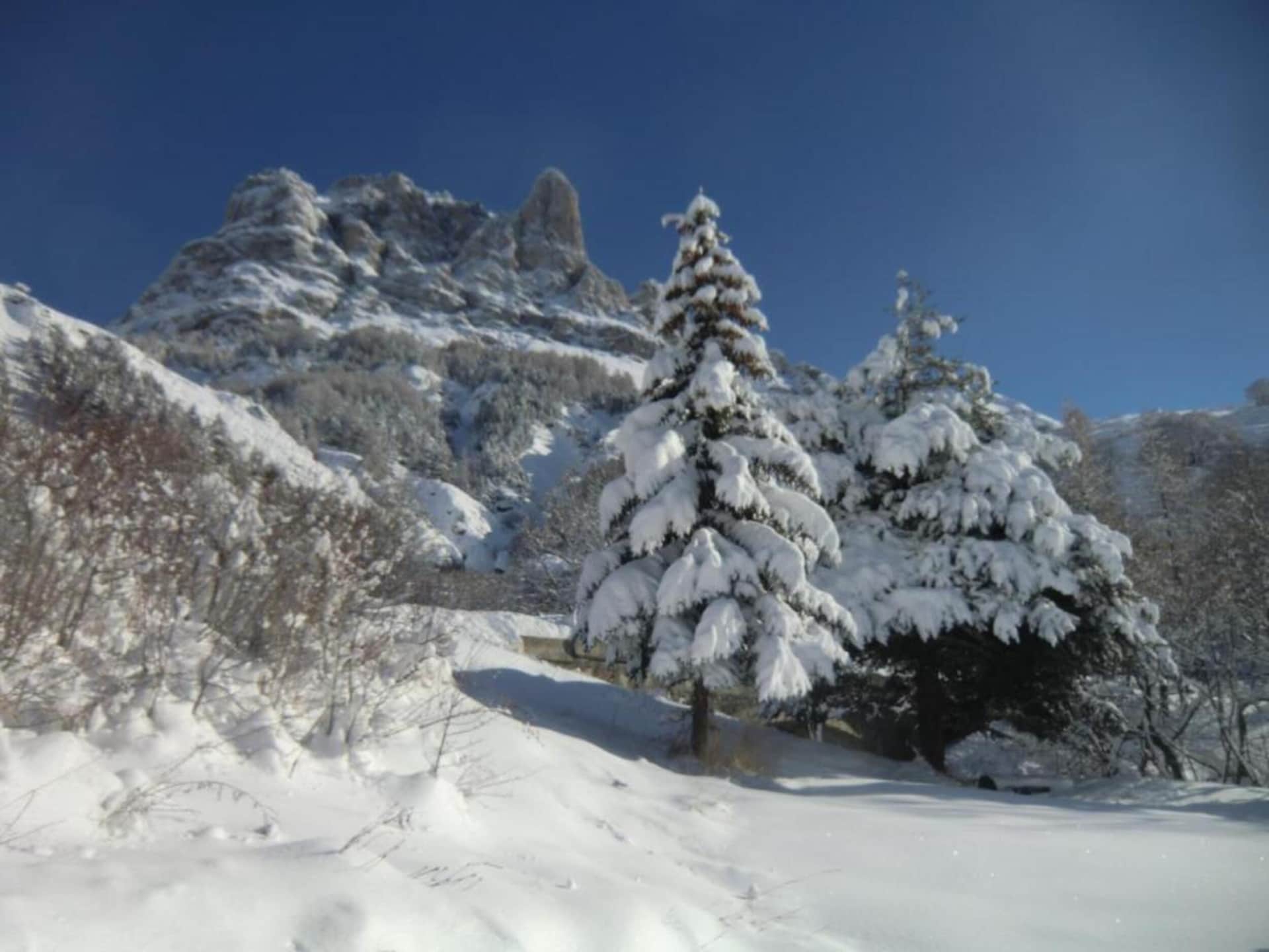 Chalet Clochettes - foto 38