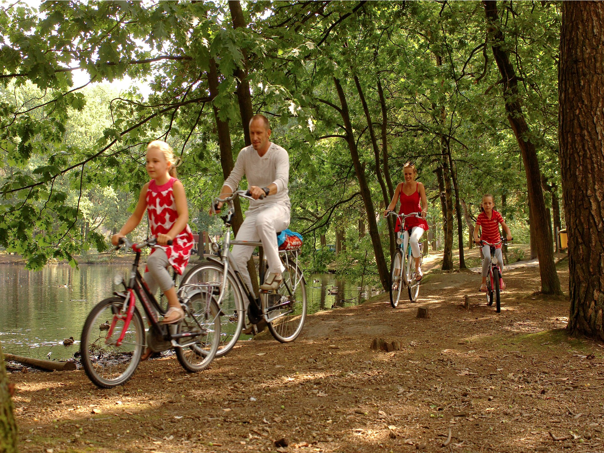 Chalet Bospark 't Wolfsven 16: Luxe familieverblijf in bosrijk Brabant - foto 8