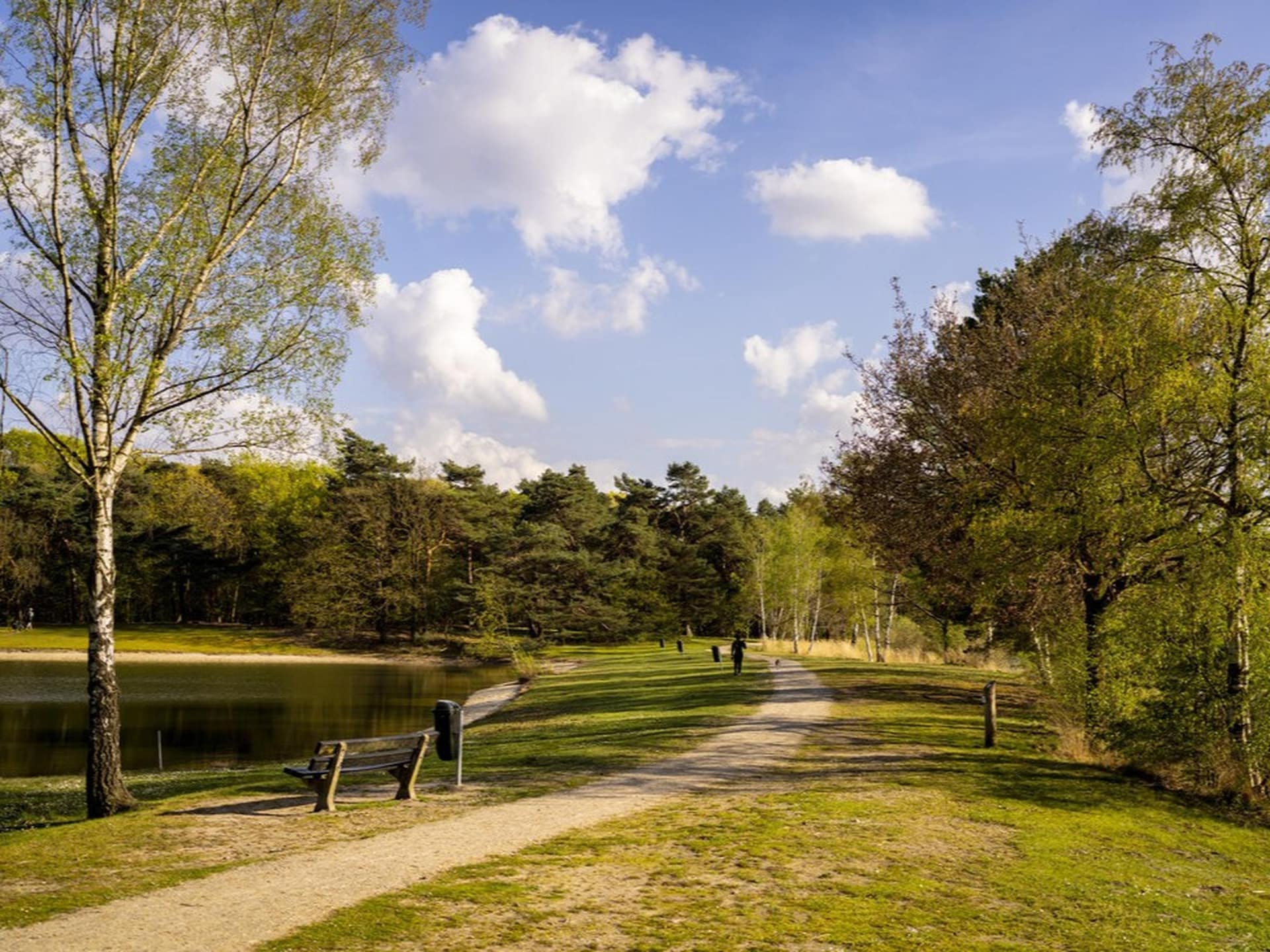 Modern chalet met sauna en twee badkamers in Mierlo - foto 46