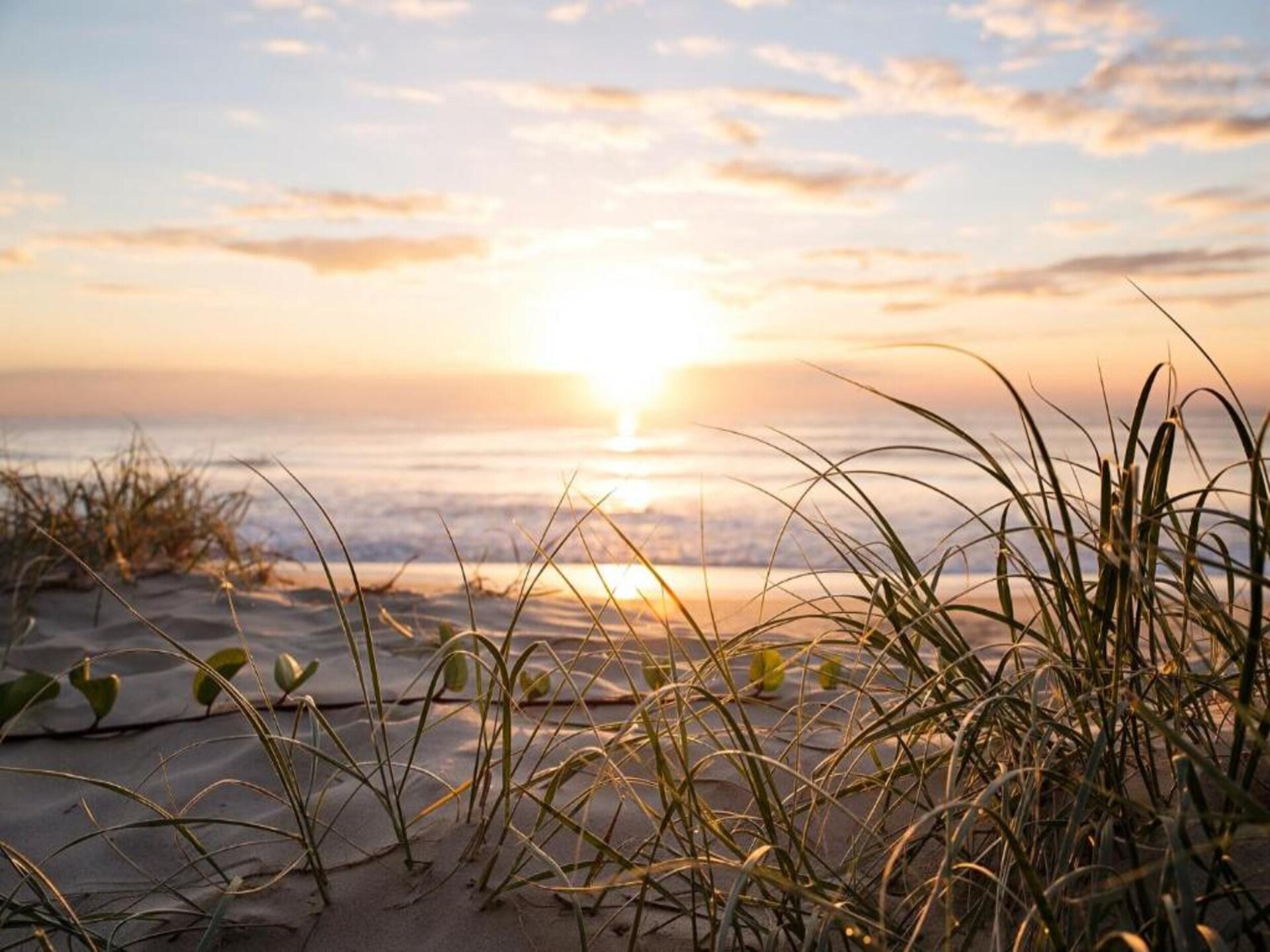 Wellnessvilla met sauna en bubbelbad nabij golfbaan en strand op Fehmarn - foto 29