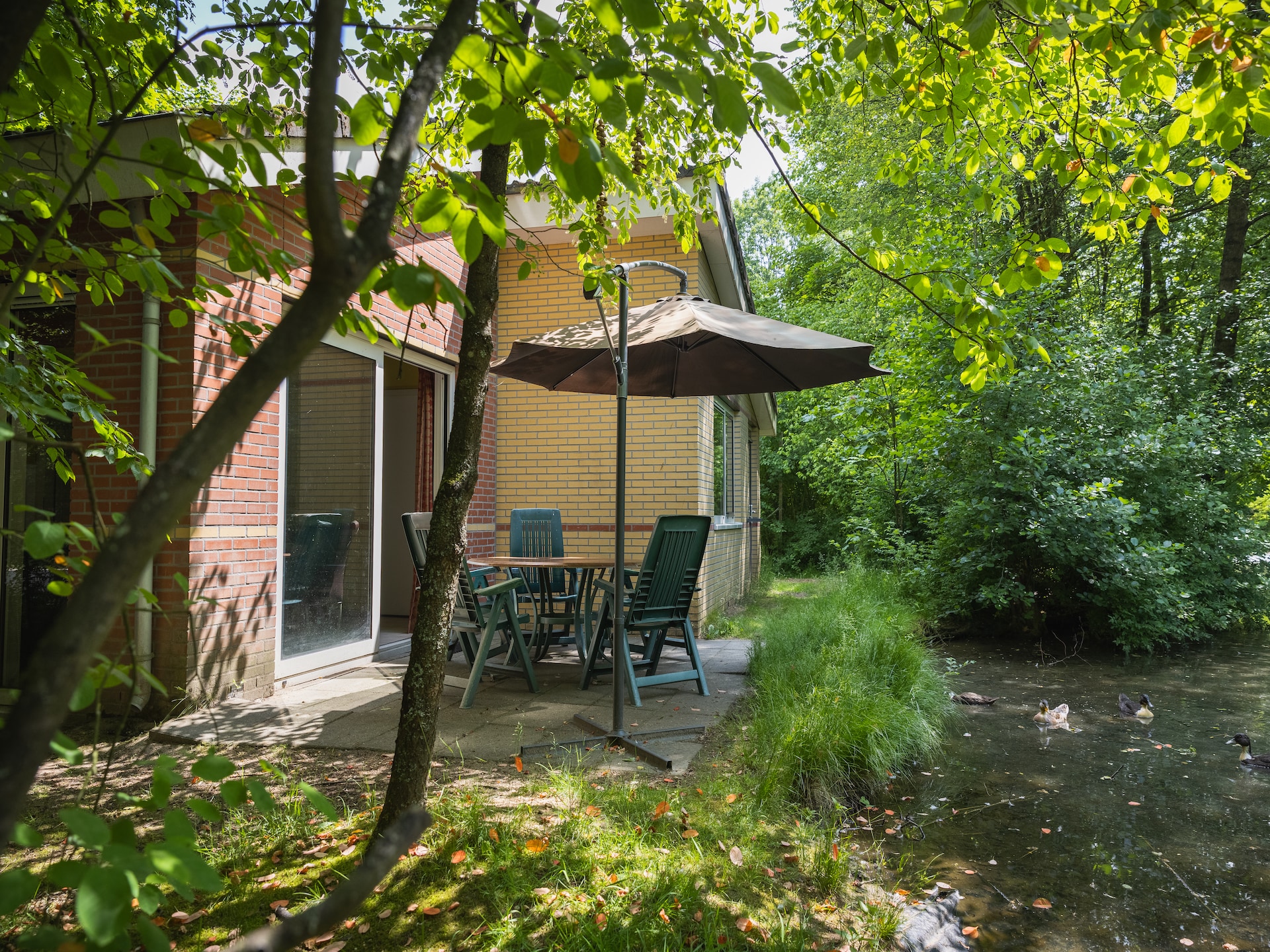 Vredige bosbungalow op de Veluwe met sauna en tuin - foto 6