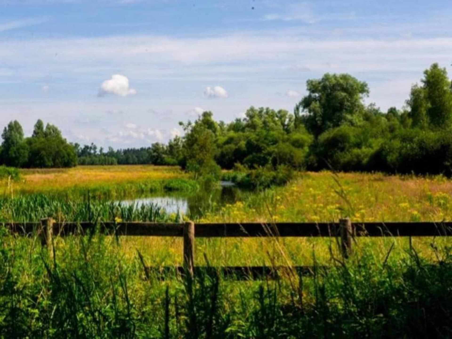 Stijlvol landhuis met privésauna in Schaijk - foto 30