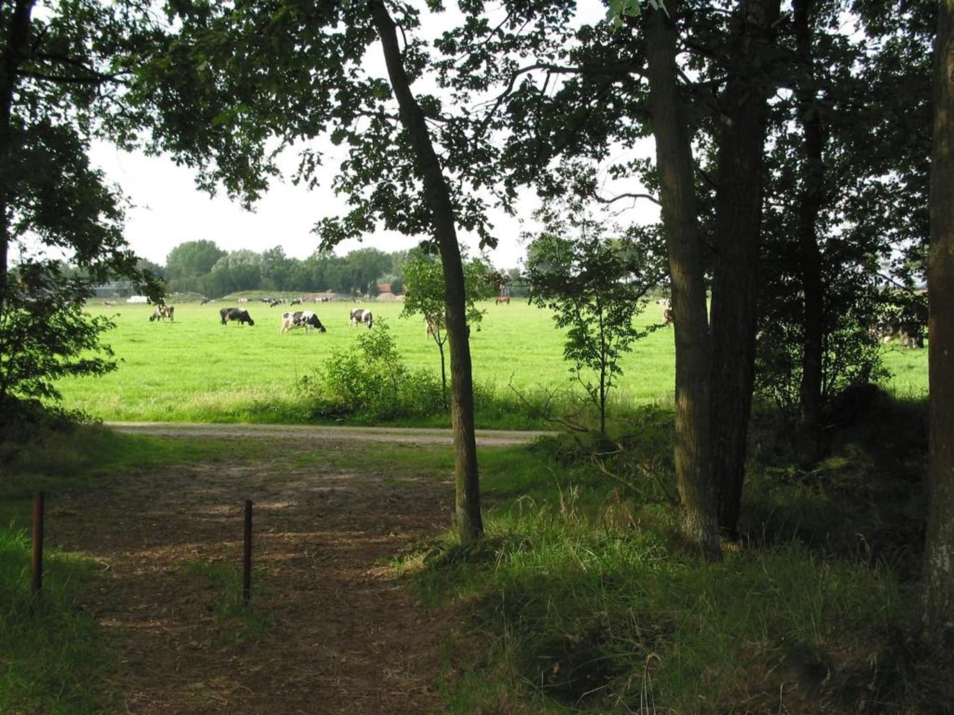 Stijlvol landhuis met privésauna in Schaijk - foto 37