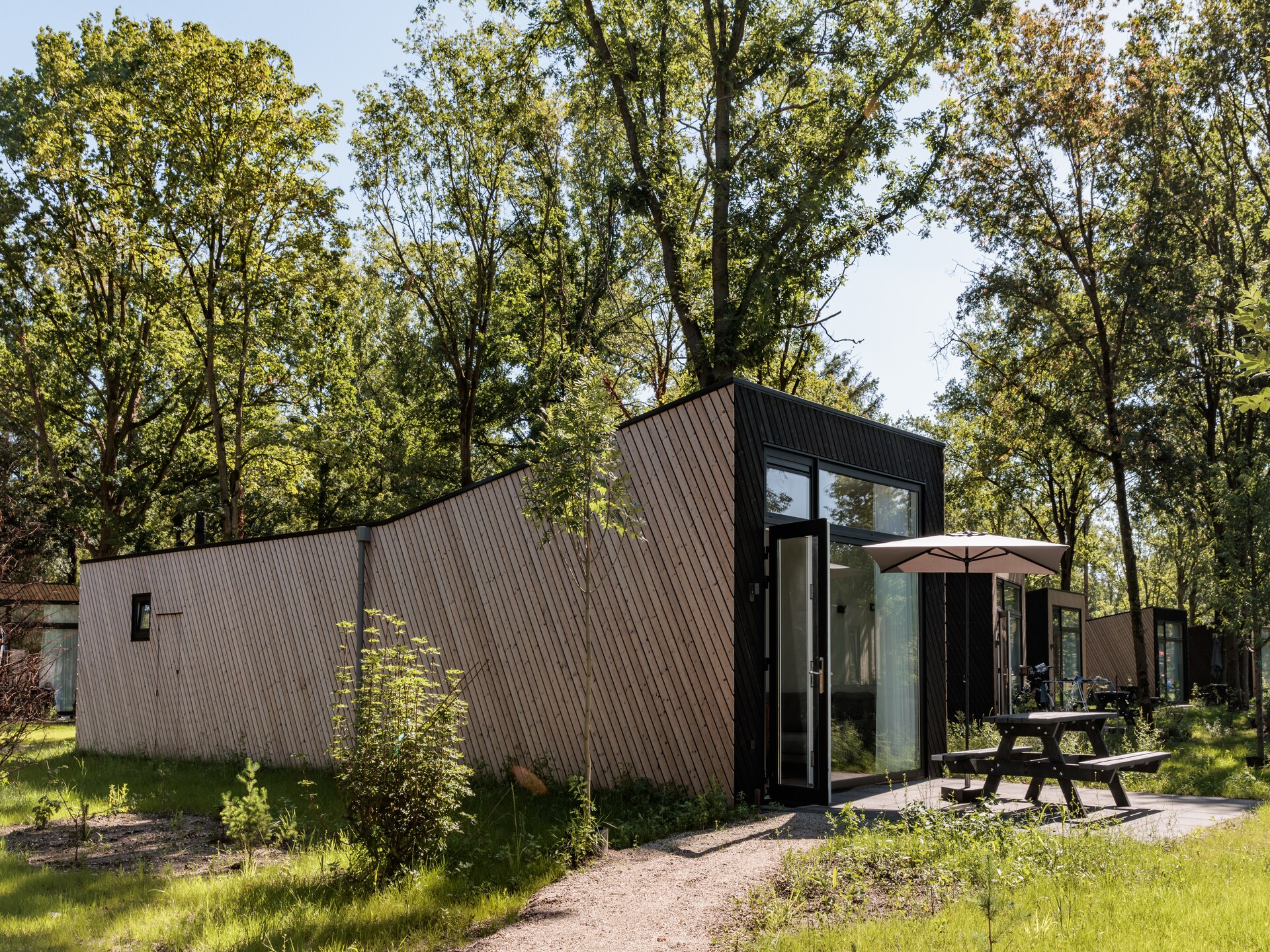 Vrijstaande lodge voor 6 personen aan de rand van natuurgebied De Maashorst - foto 1