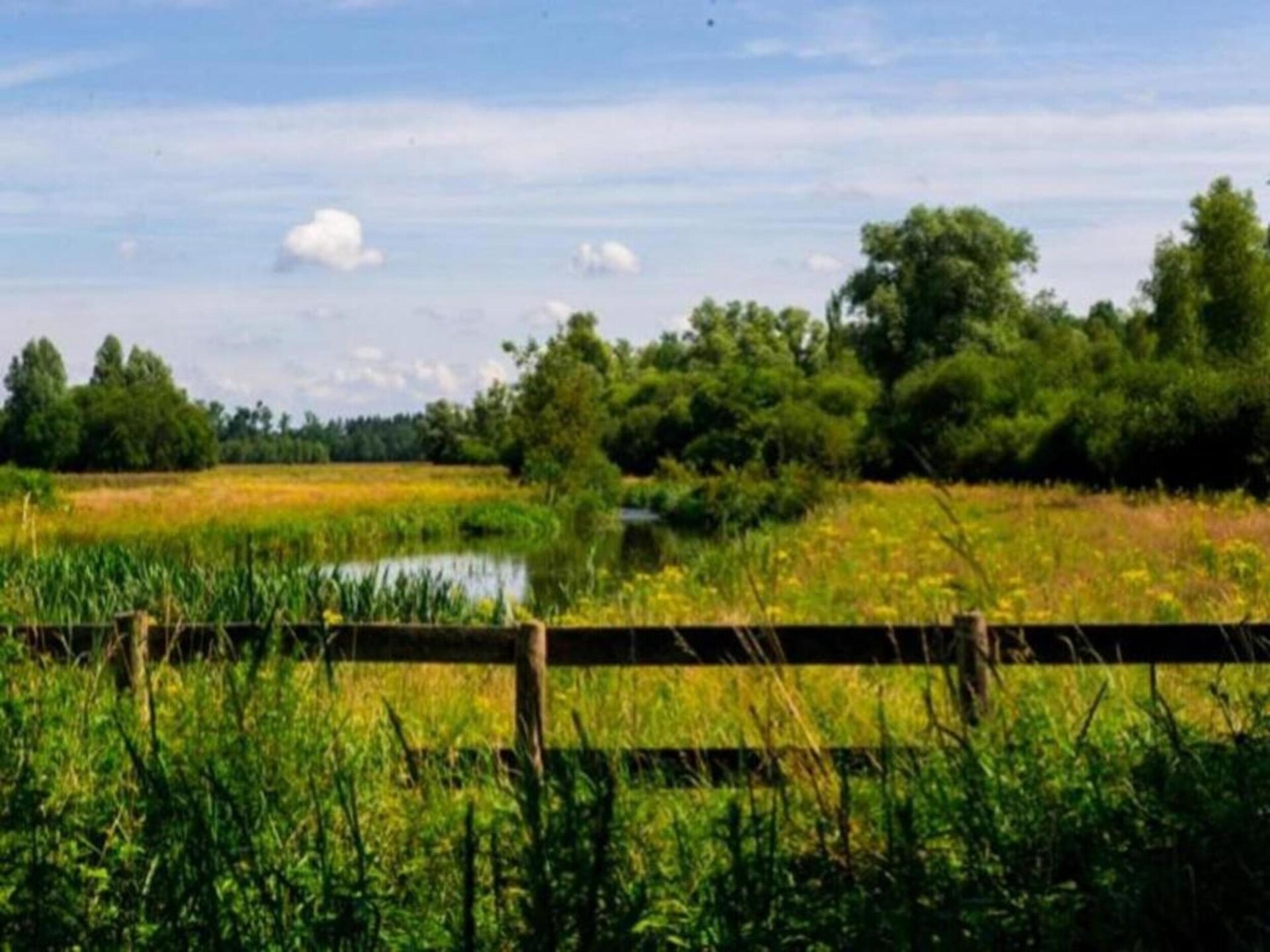 Vrijstaande lodge voor 6 personen aan de rand van natuurgebied De Maashorst - foto 32