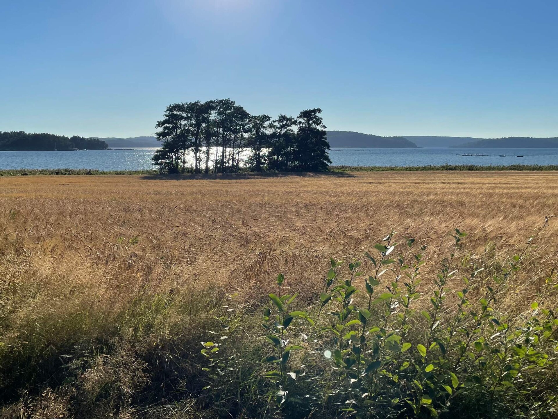 Licht vakantiehuis in Uddevalla nabij de kust - foto 22