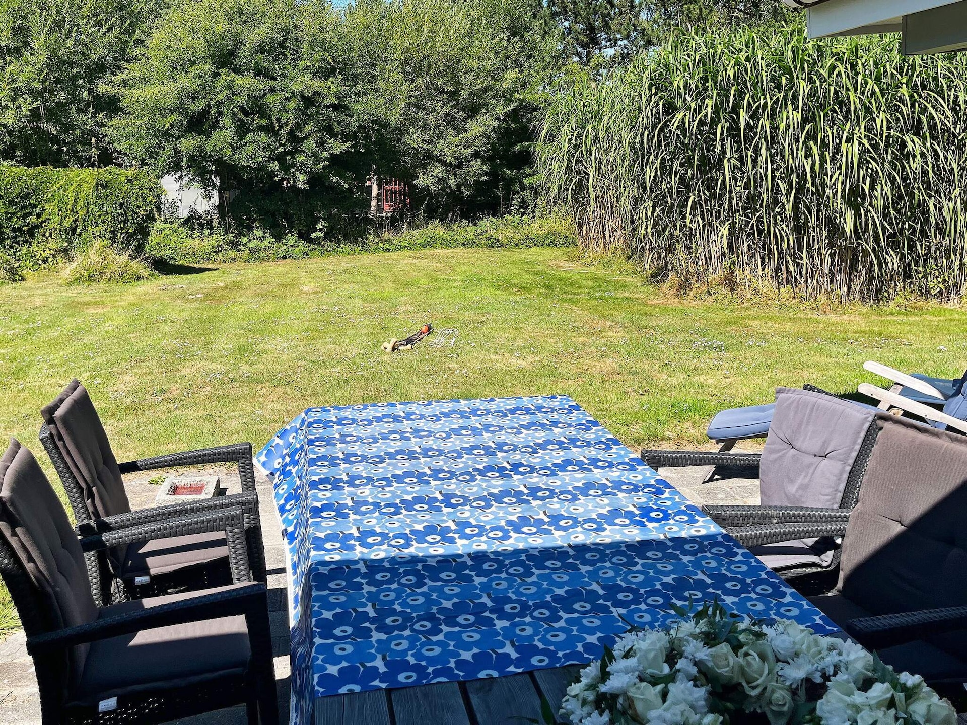 Vakantiehuis op slechts 250 m van zee in Dannemare - foto 6