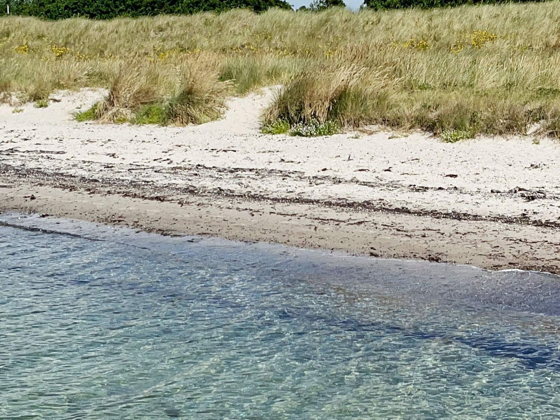 Vakantiehuis op slechts 250 m van zee in Dannemare - foto 13
