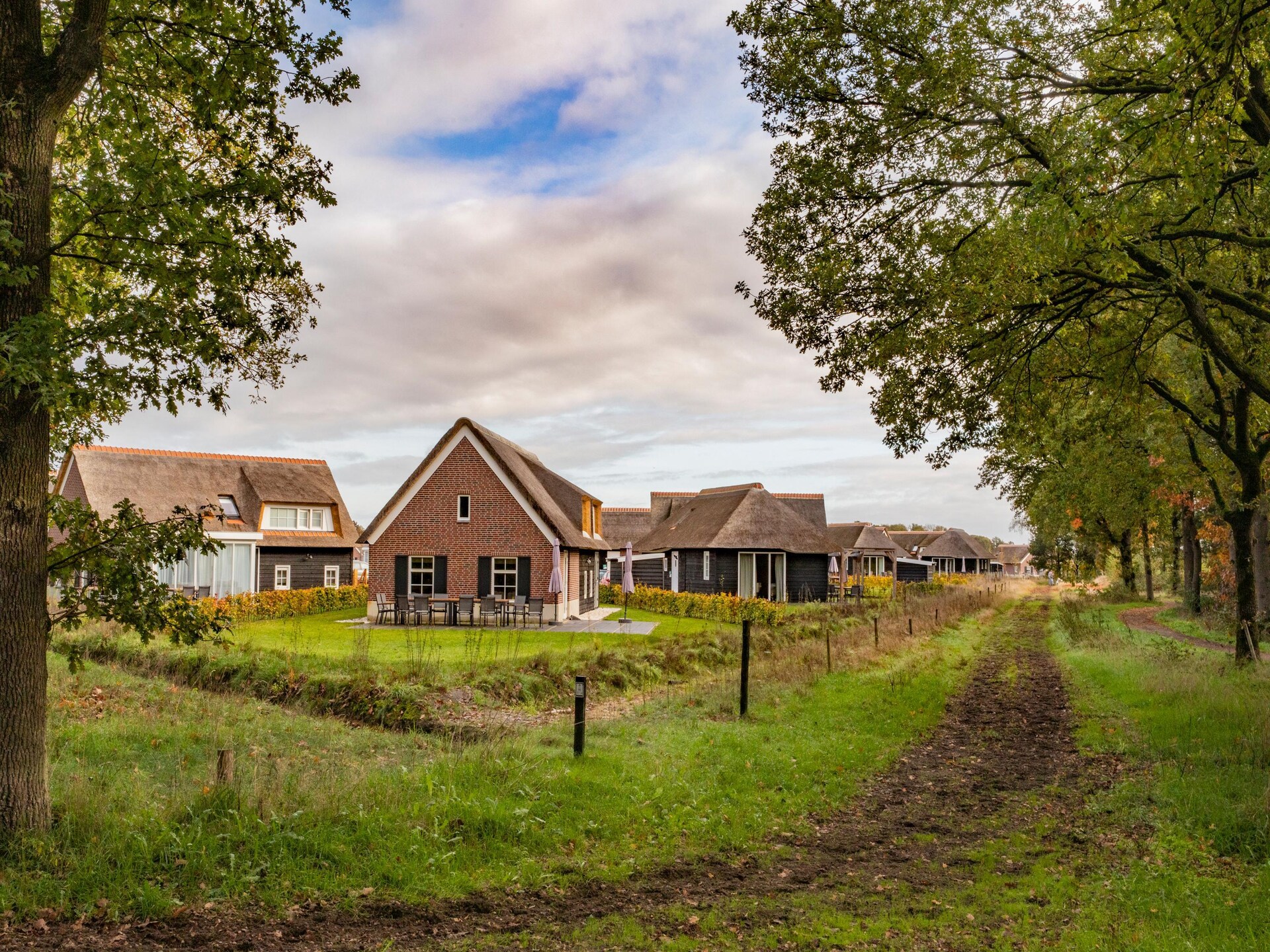 Luxe rietgedekte villa met vloerverwarming op vakantiepark De Heihorsten - foto 14