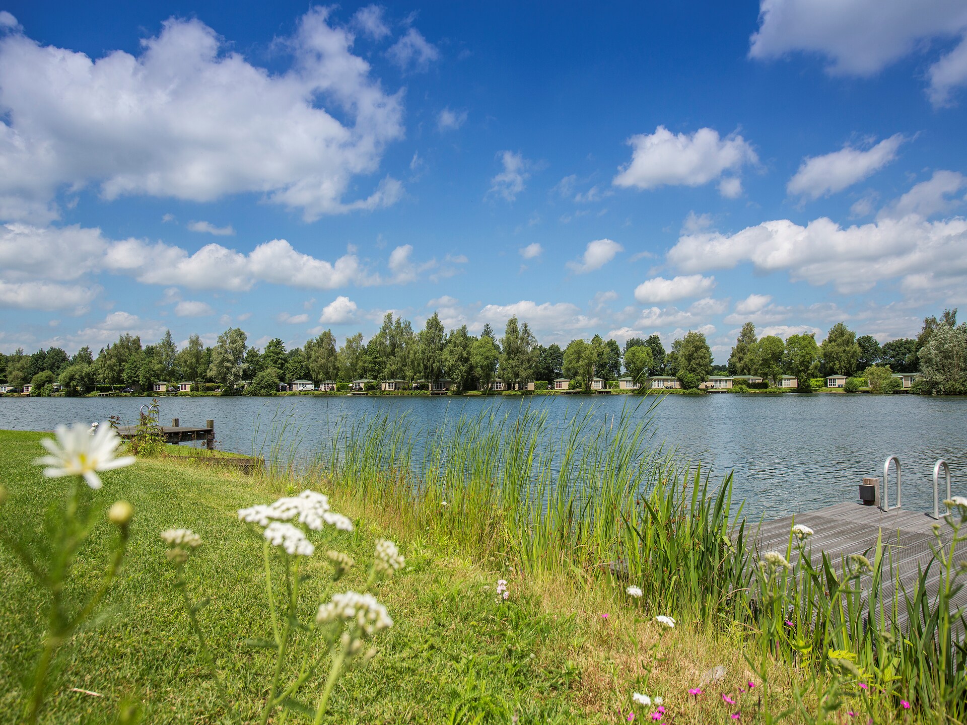 Luxe vakantielodge met airco op Recreatiepark Tolplas, huisdieren welkom - foto 22