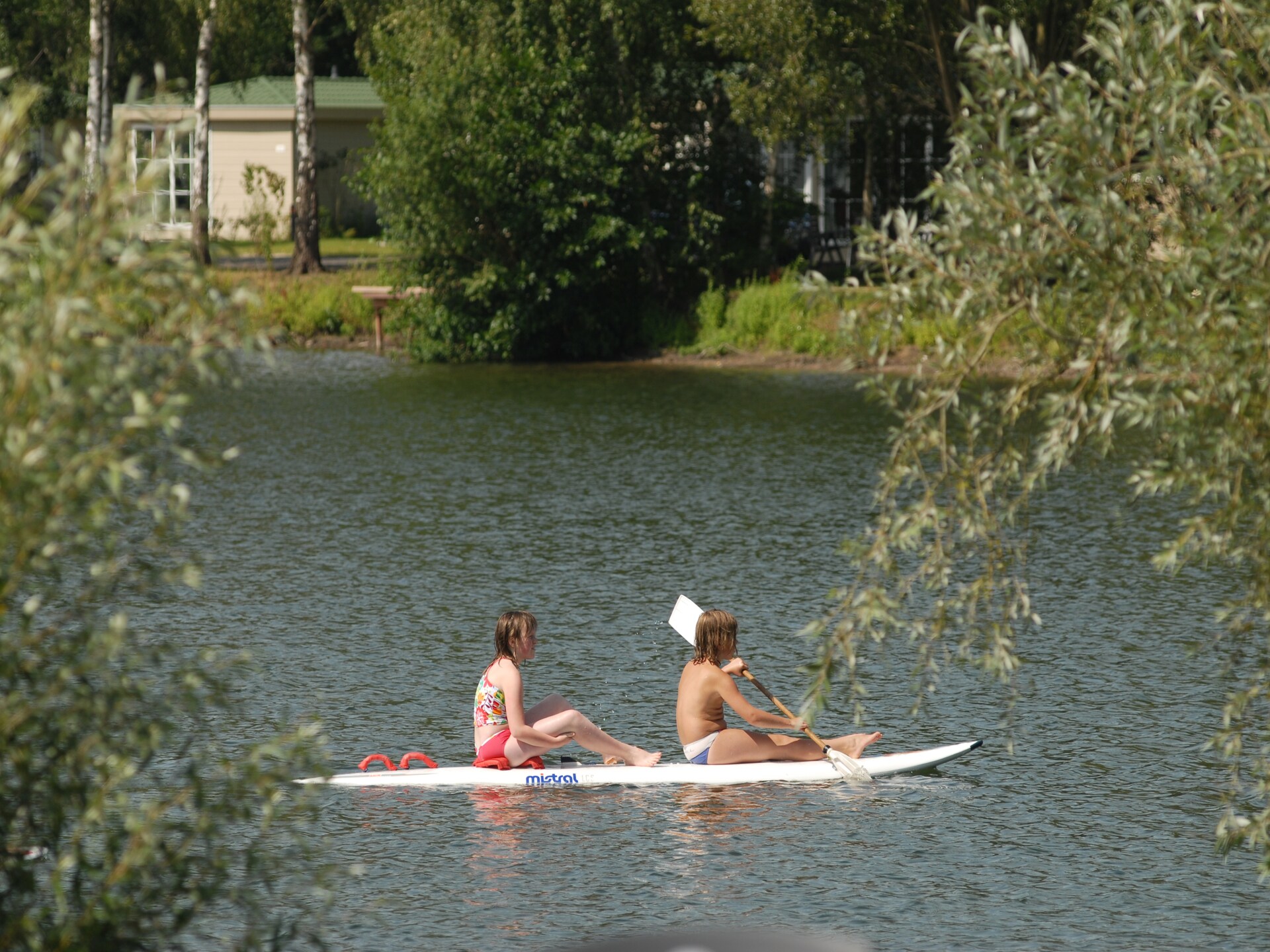 Luxe vakantielodge met airco op Recreatiepark Tolplas, huisdieren welkom - foto 17