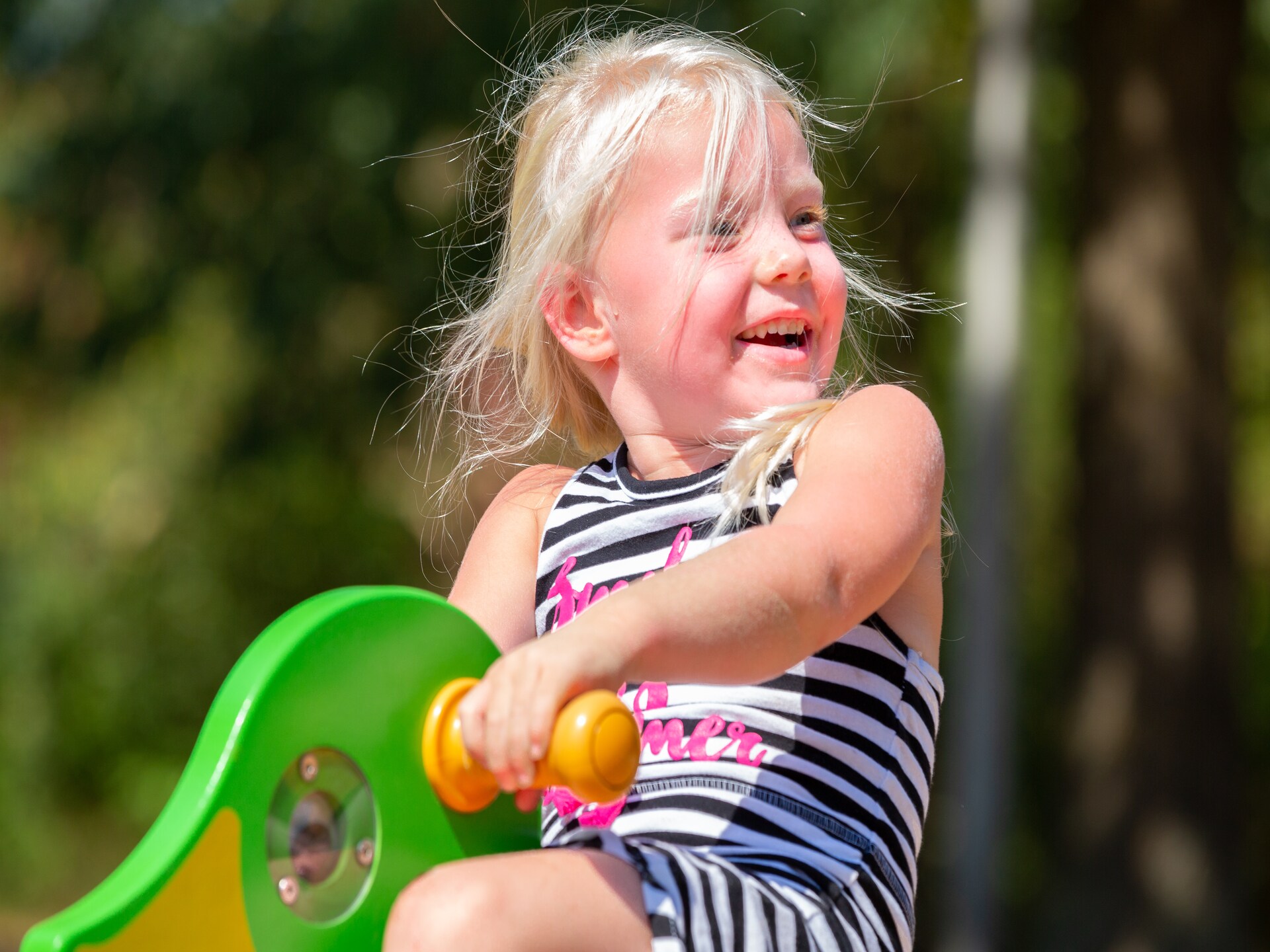 Luxe vakantielodge met airco op Recreatiepark Tolplas, huisdieren welkom - foto 14