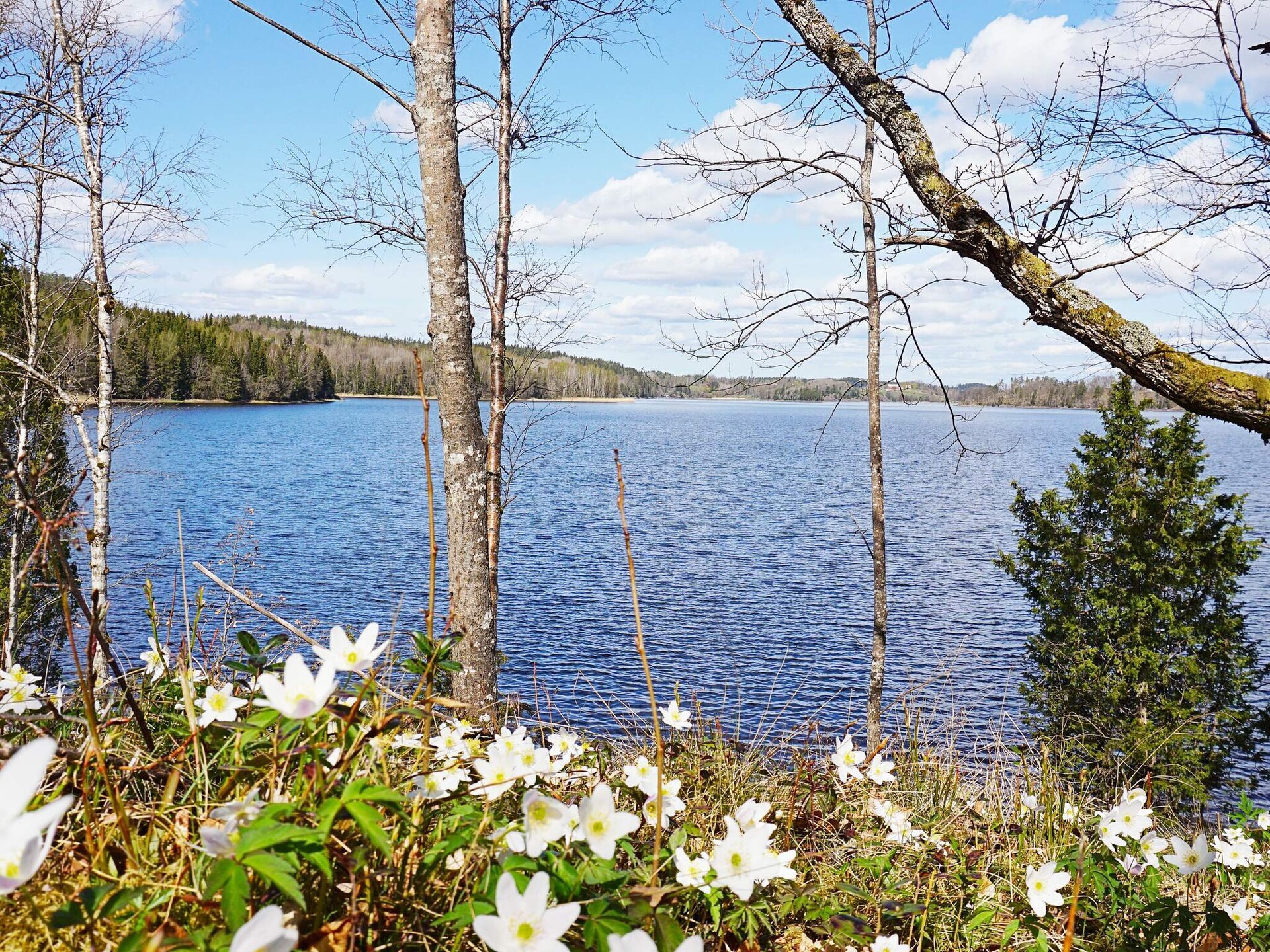 Sfeervol vakantiehuis midden in de natuur van Strömstad - foto 9