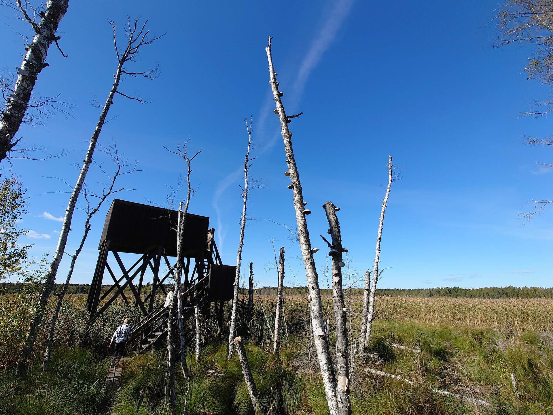 Modern vakantiehuis met uitzicht op het Storsjönmeer in Krokom - foto 12